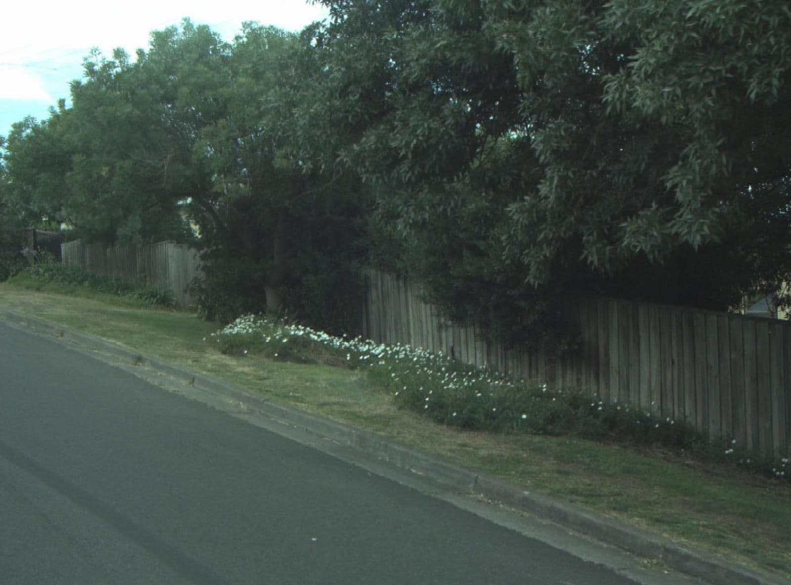 Street view near Ocean Grove Holiday House Accommodation Rental Picture This, Ocean Grove — © cogg (CC BY-SA · Mapillary)
