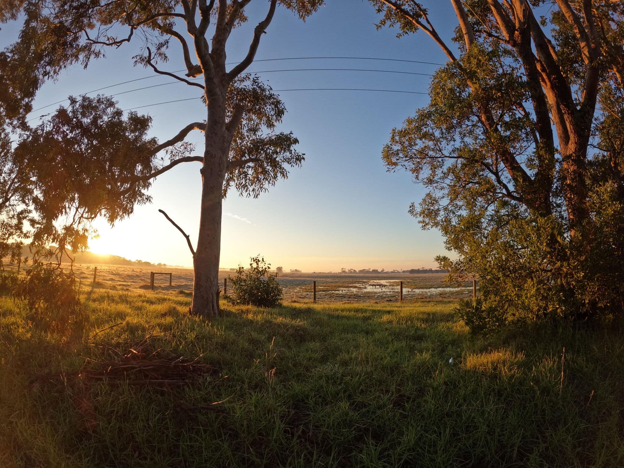 Street view near Ship Inn Motel and Function Centre, Yarram — © skillsy (CC BY-SA · Mapillary)