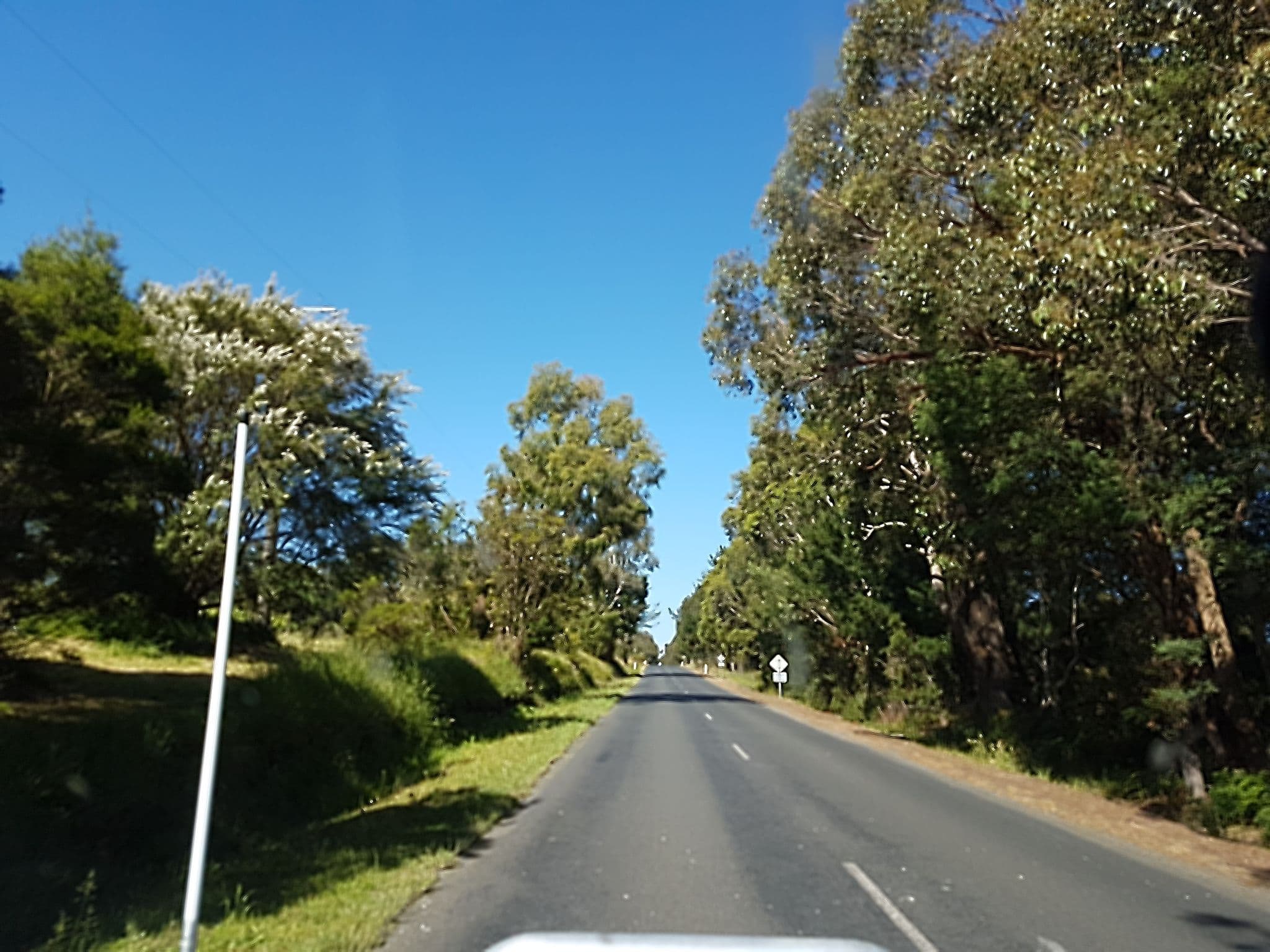 Street view near The Wine Farm, Leongatha — © stev391 (CC BY-SA · Mapillary)