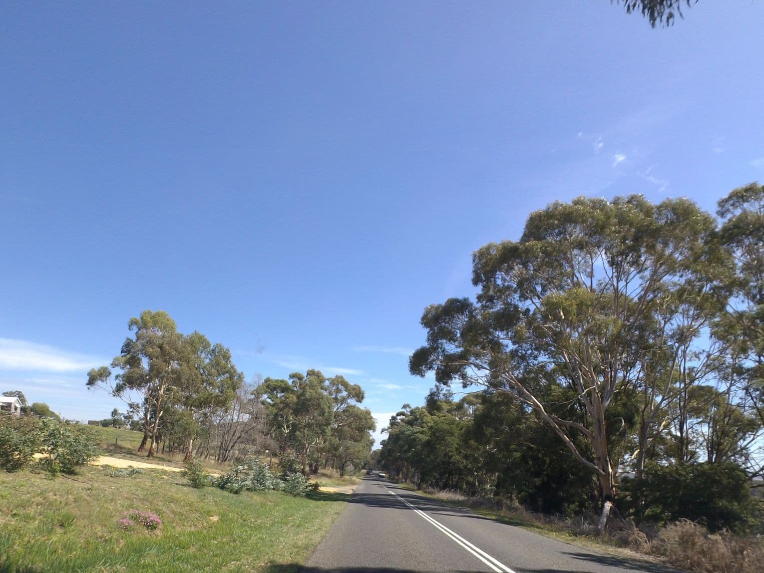 Street view near Amaroo Farm, Trentham — © mander (CC BY-SA · Mapillary)