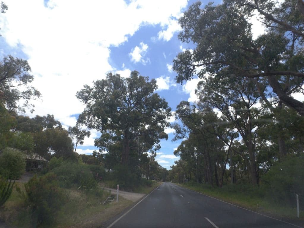 Street view near Birchgrove in Daylesford, Daylesford — © mander (CC BY-SA · Mapillary)