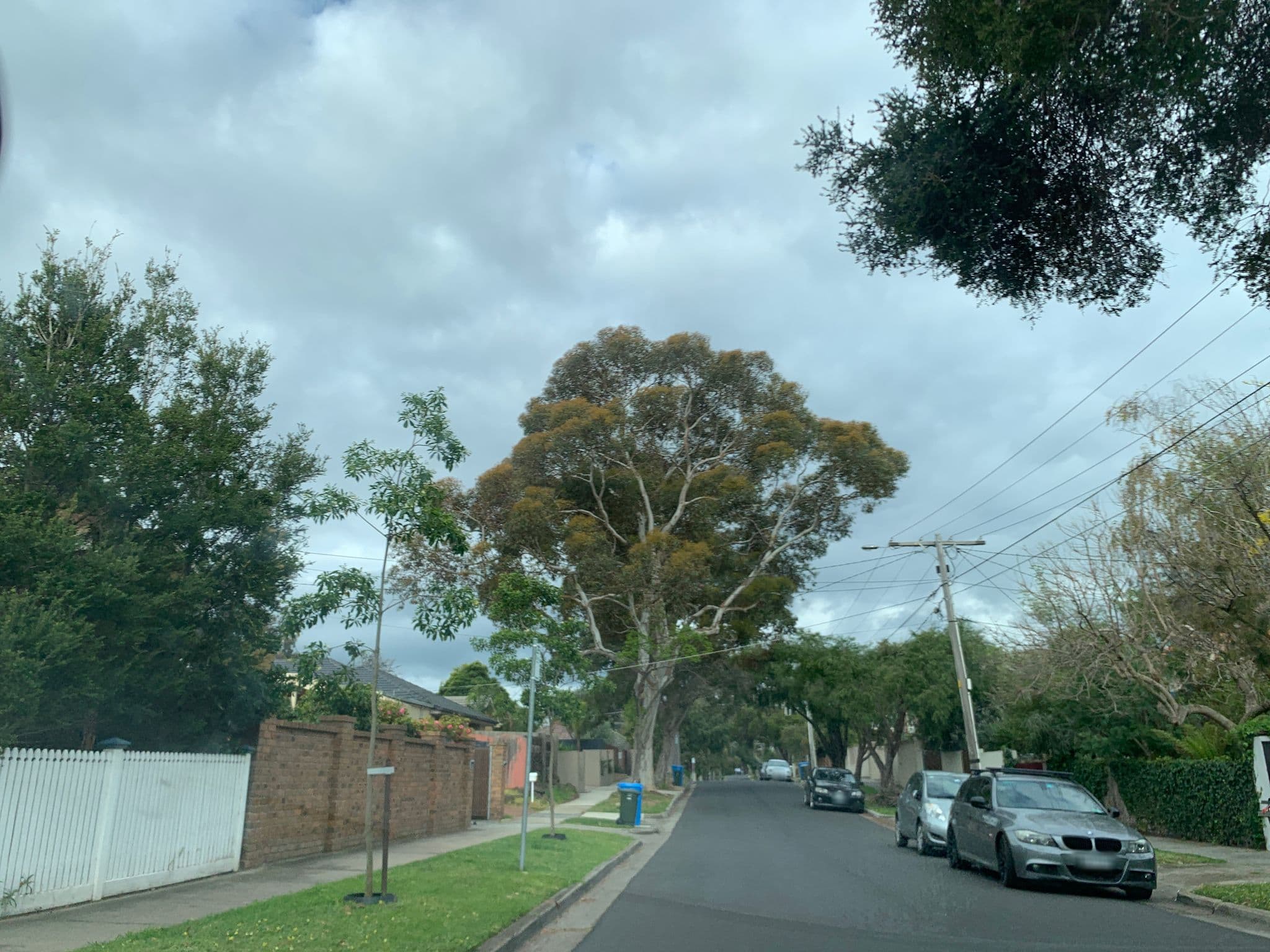 Street view near Beau bay houses, Beaumaris — © fadi1994 (CC BY-SA · Mapillary)