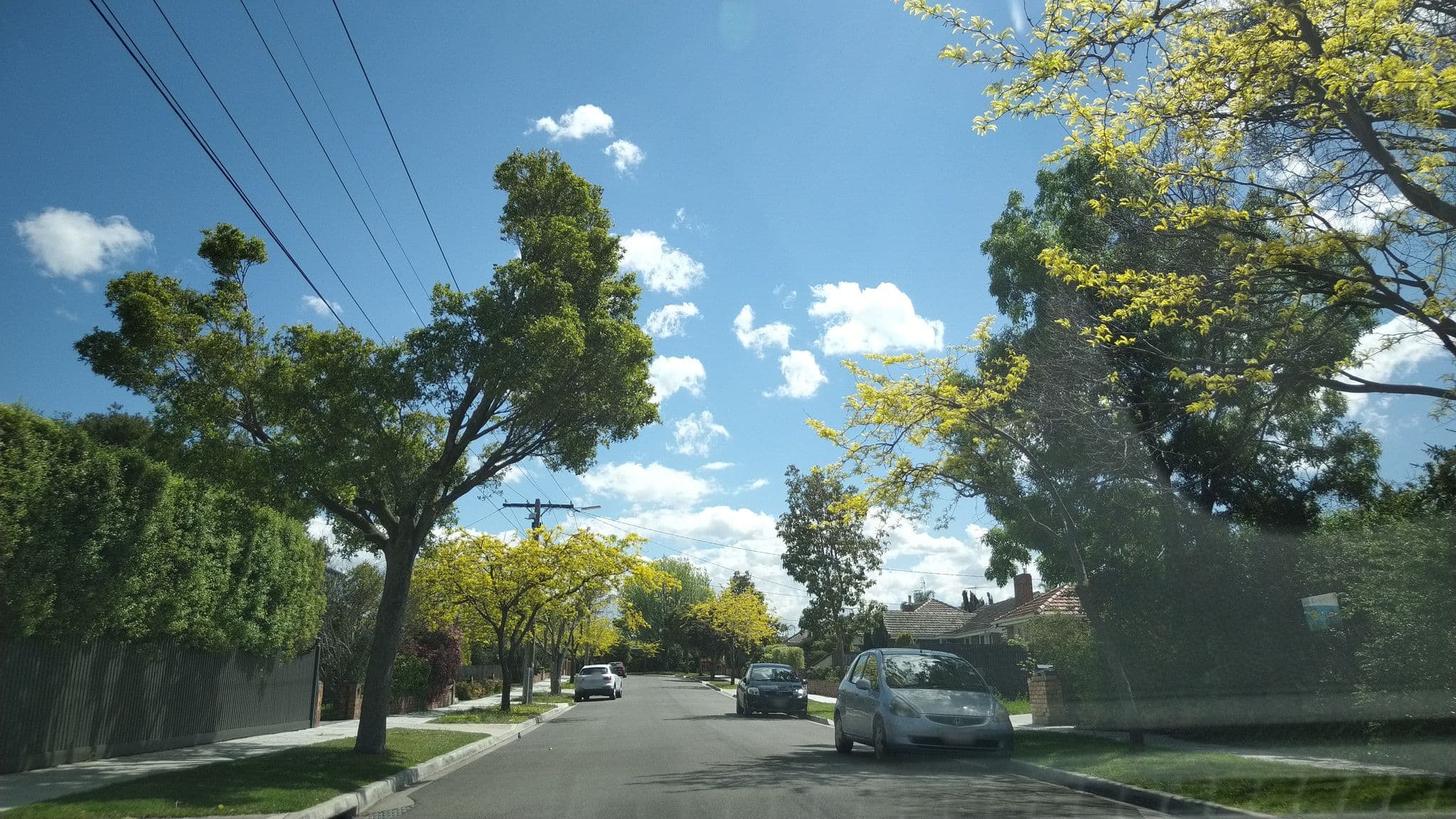 Street view near Trinity Tastings, Carnegie — © jovotrisic1960 (CC BY-SA · Mapillary)