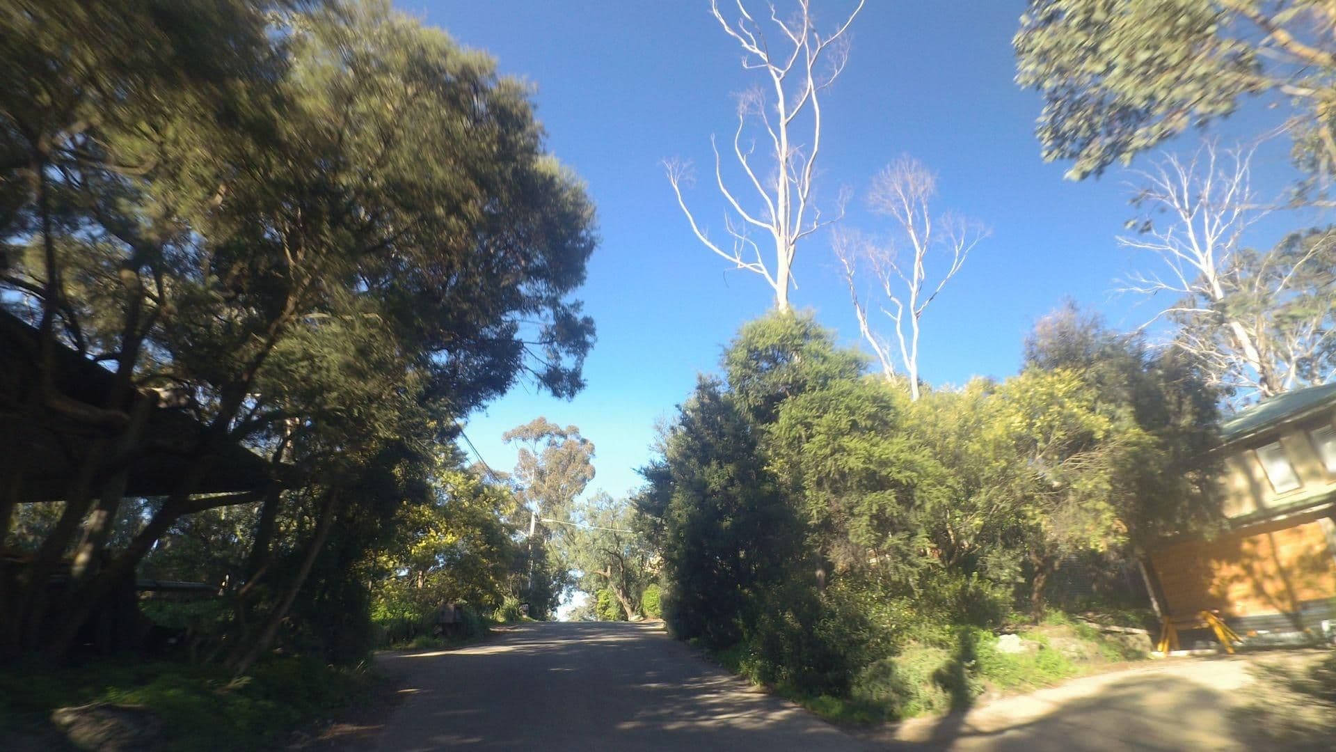 Street view near Eltham Garden Retreat, Eltham — © mander (CC BY-SA · Mapillary)