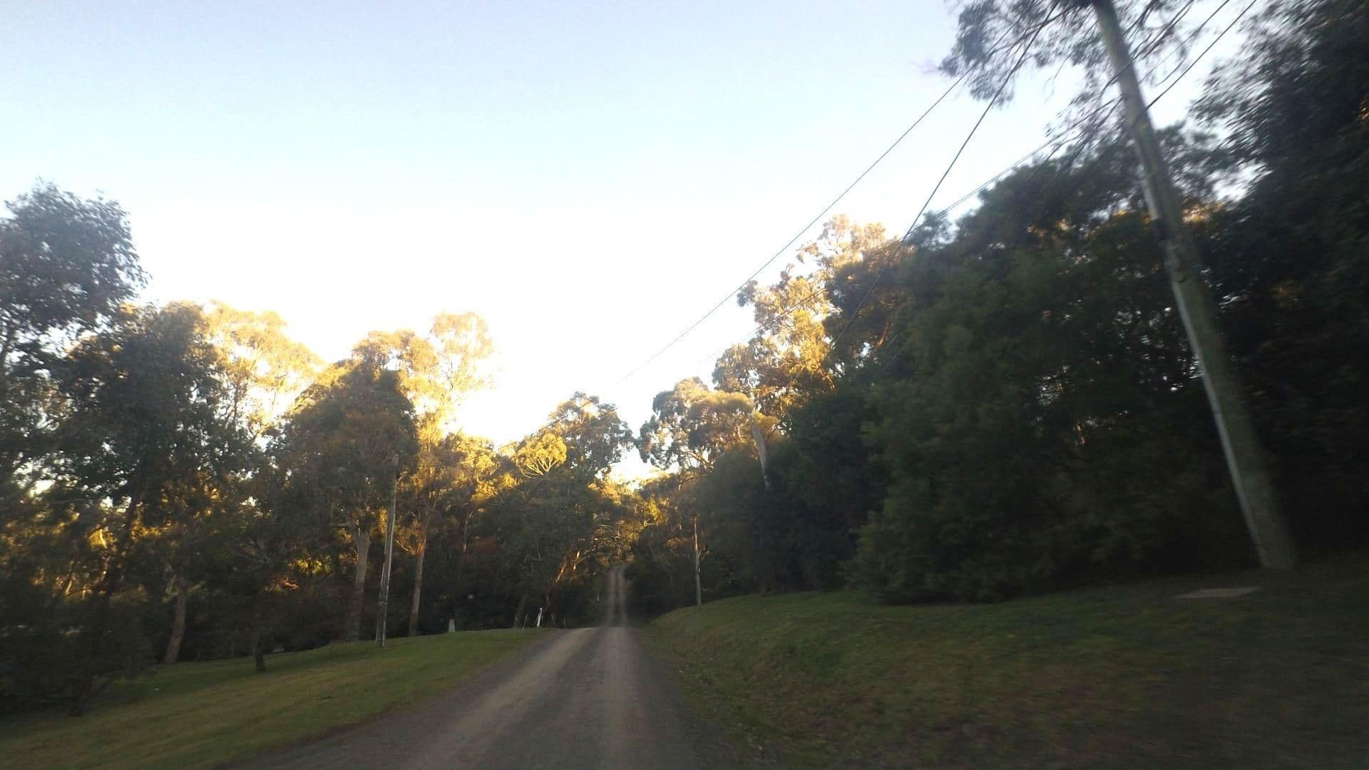 Street view near Hosted Accommodation Australia, Eltham — © mander (CC BY-SA · Mapillary)