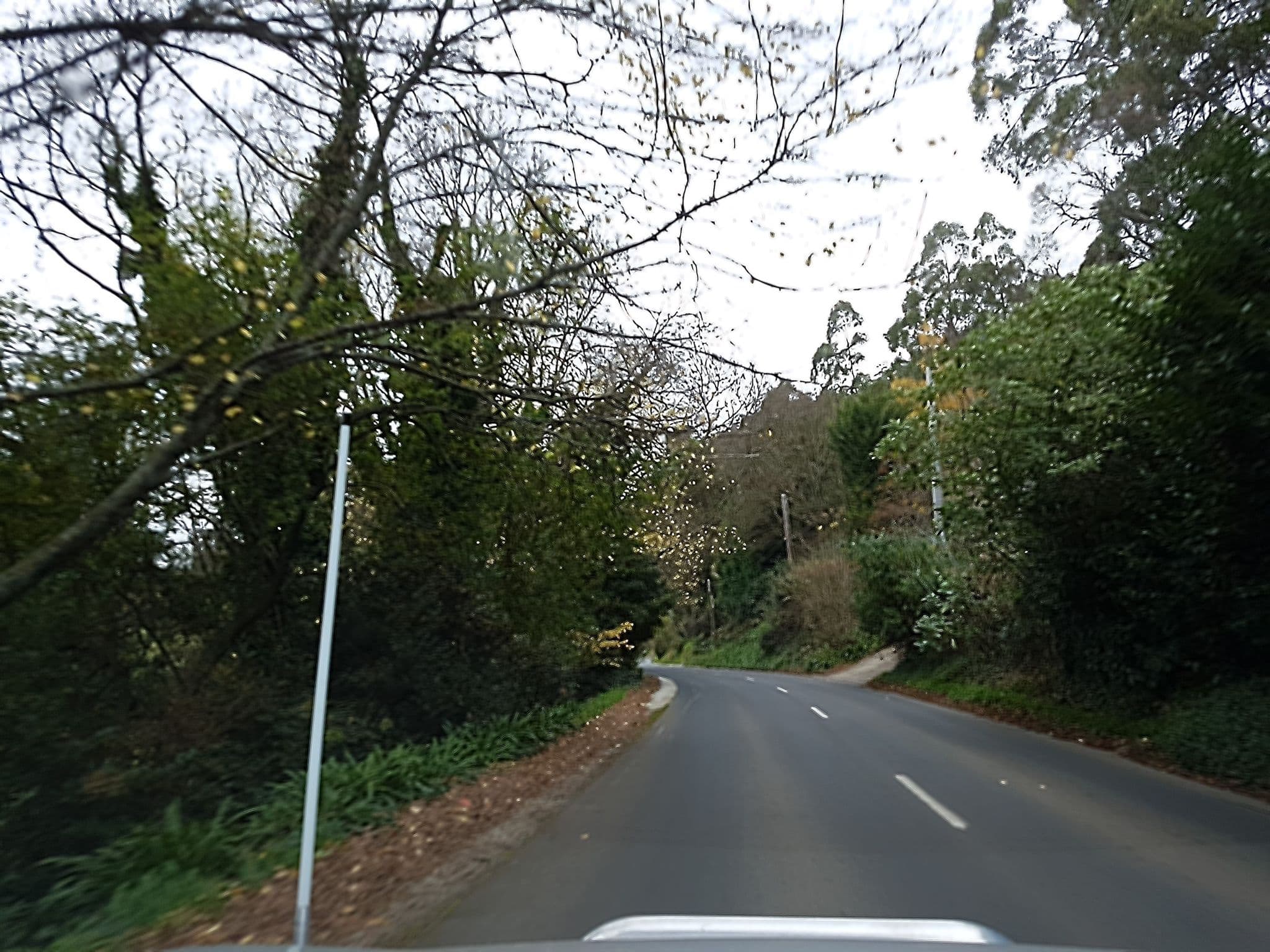 Street view near Dandenong Ranges Cottages, Kallista — © stev391 (CC BY-SA · Mapillary)