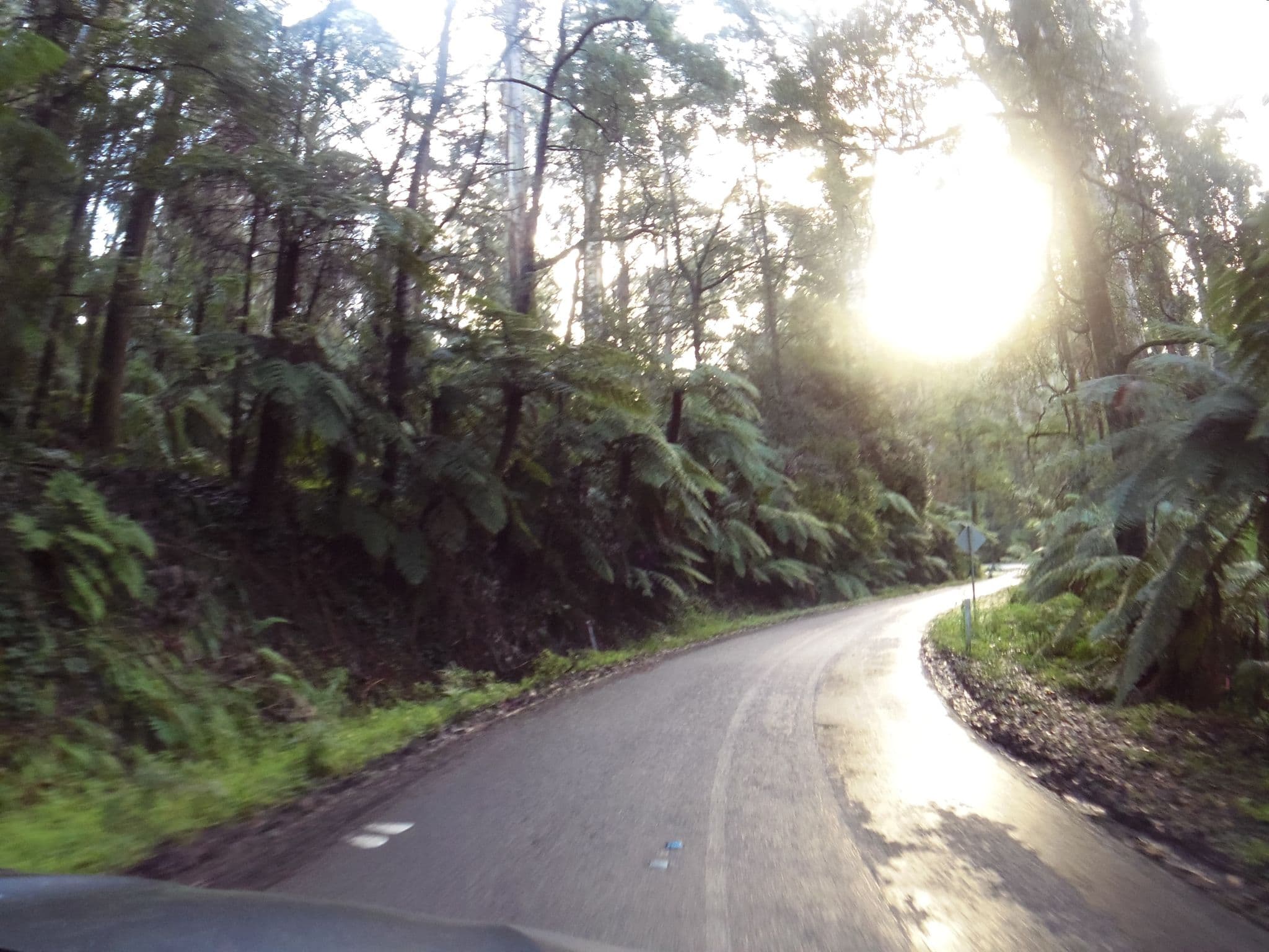 Street view near Katrina Lodge Bed & Breakfast, Sassafras — © skillsy (CC BY-SA · Mapillary)