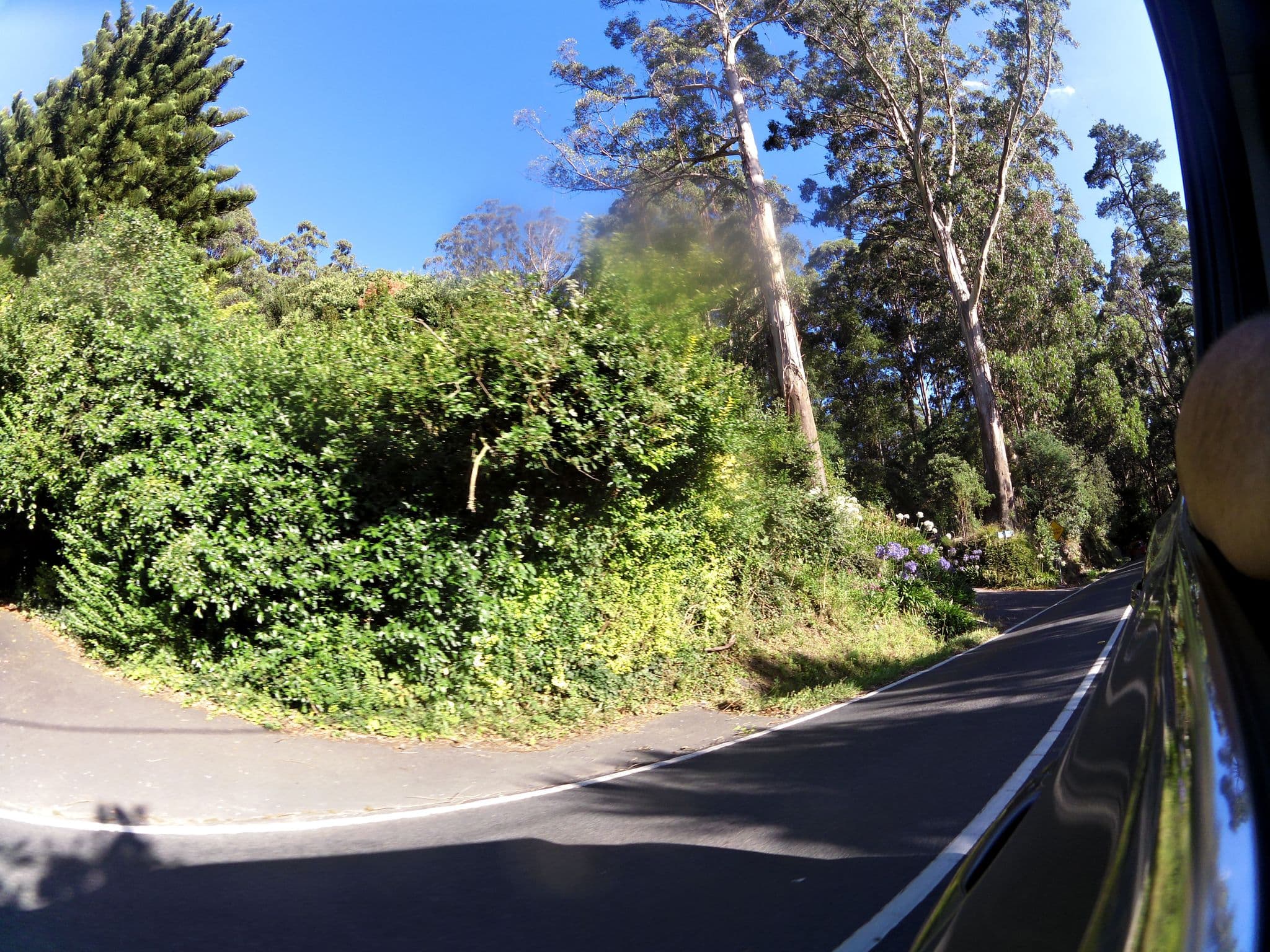 Street view near Wild Orchid Olinda, Olinda — © skillsy (CC BY-SA · Mapillary)