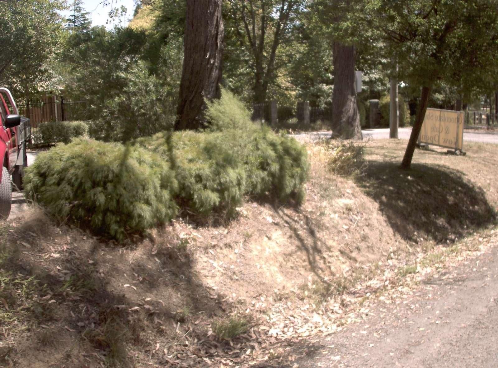Street view near The Barn House, Montrose — © vicroads (CC BY-SA · Mapillary)