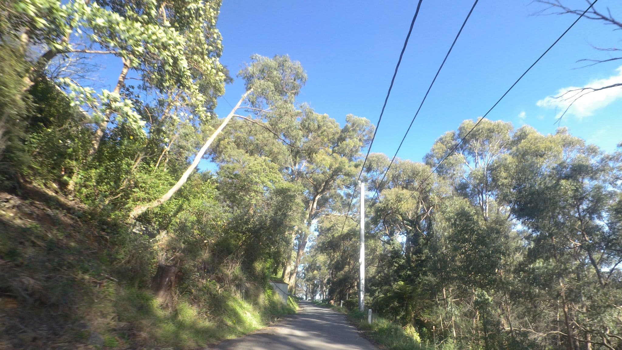 Street view near Treetops, Kalorama — © mander (CC BY-SA · Mapillary)