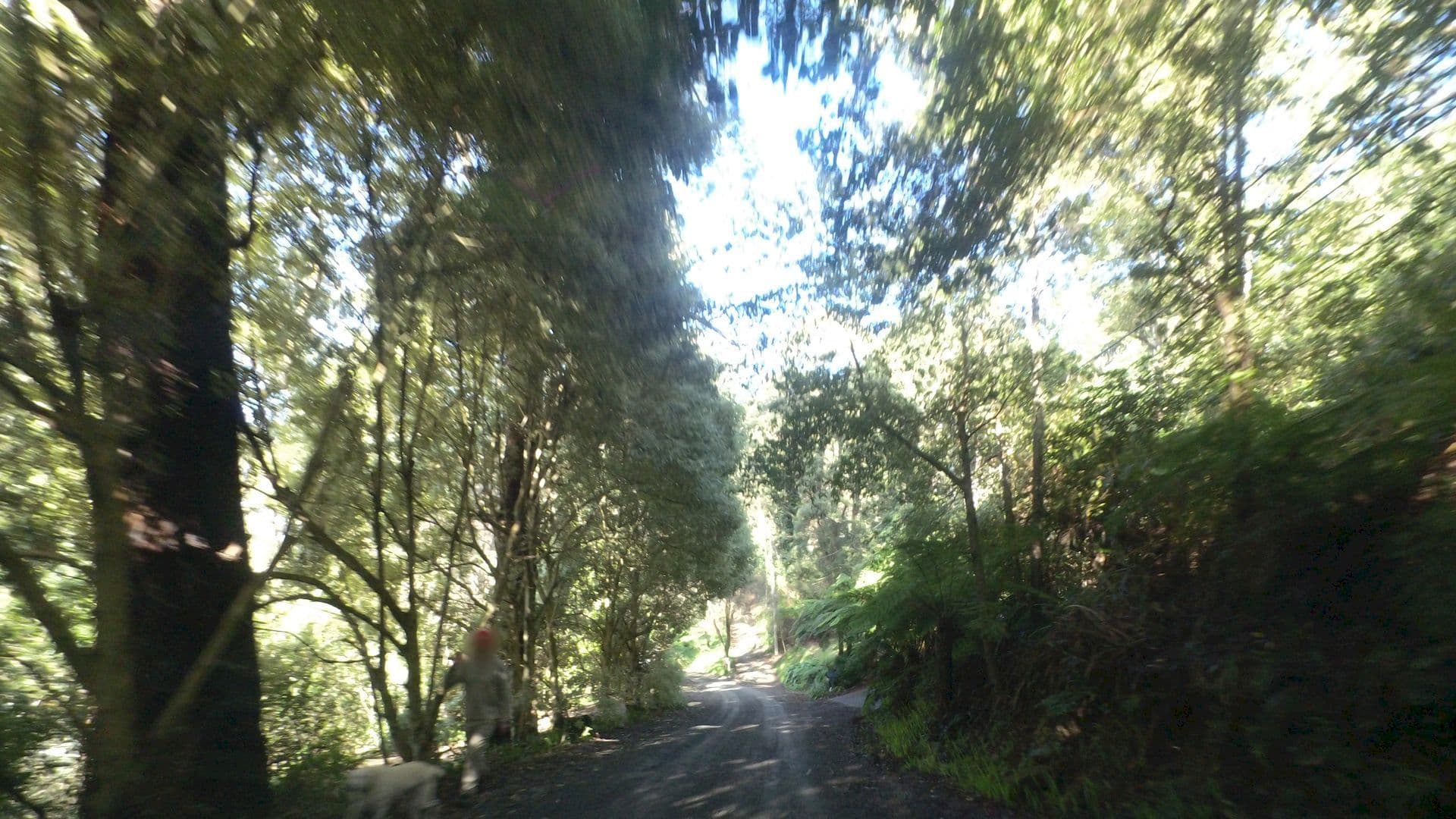 Street view near RiseHill House, Mount Dandenong — © mander (CC BY-SA · Mapillary)
