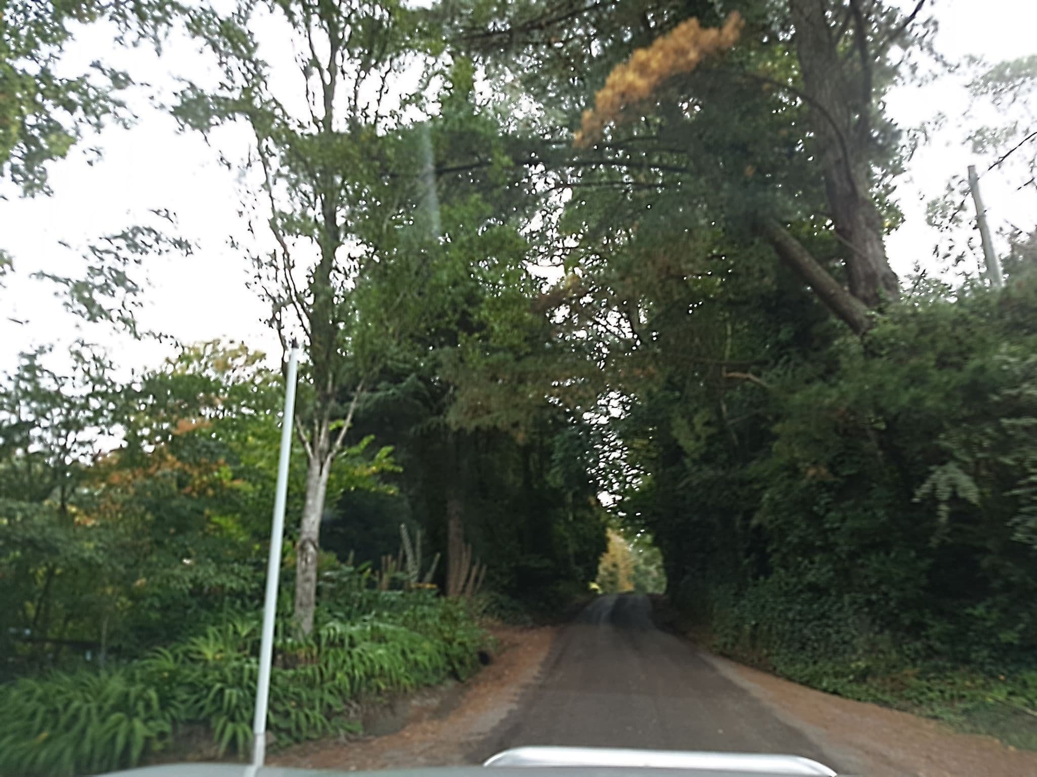 Street view near Woolrich Retreat, Olinda — © stev391 (CC BY-SA · Mapillary)