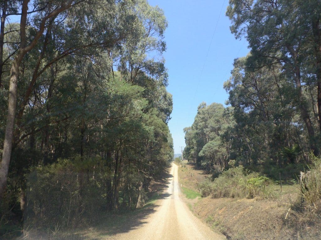 Street view near Woodlands Rainforest Retreat, Healesville — © mander (CC BY-SA · Mapillary)