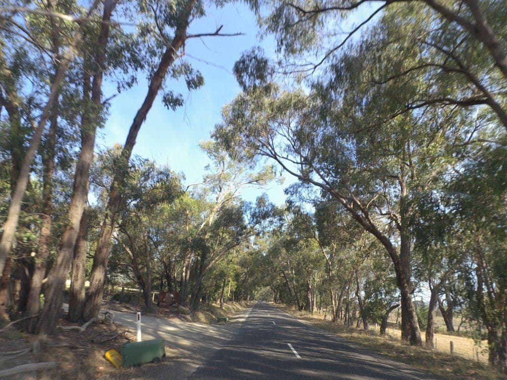 Street view near Grevillea Rise Bed & Breakfast, Coldstream — © mander (CC BY-SA · Mapillary)
