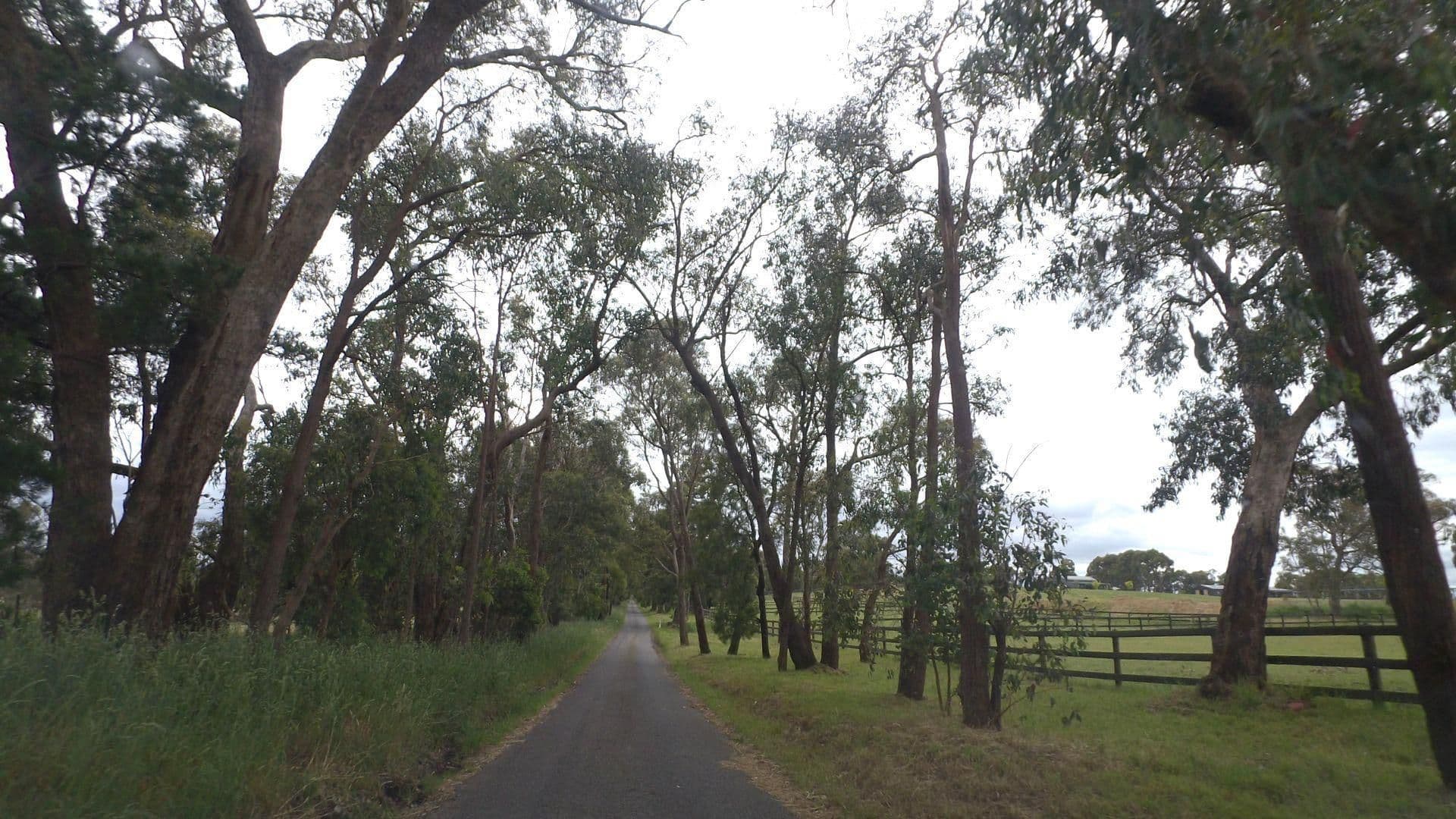 Street view near Raynella Alpaca Farm, Coldstream — © mander (CC BY-SA · Mapillary)