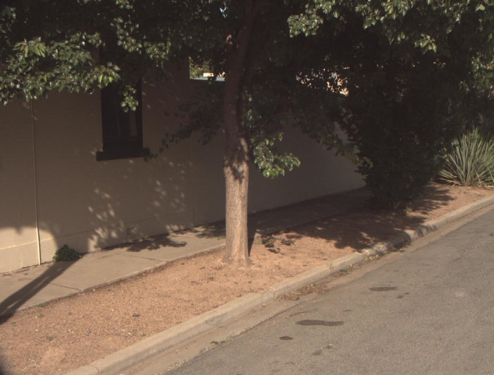 Street view near Harvest Home Avenel, Avenel — © vicroads (CC BY-SA · Mapillary)