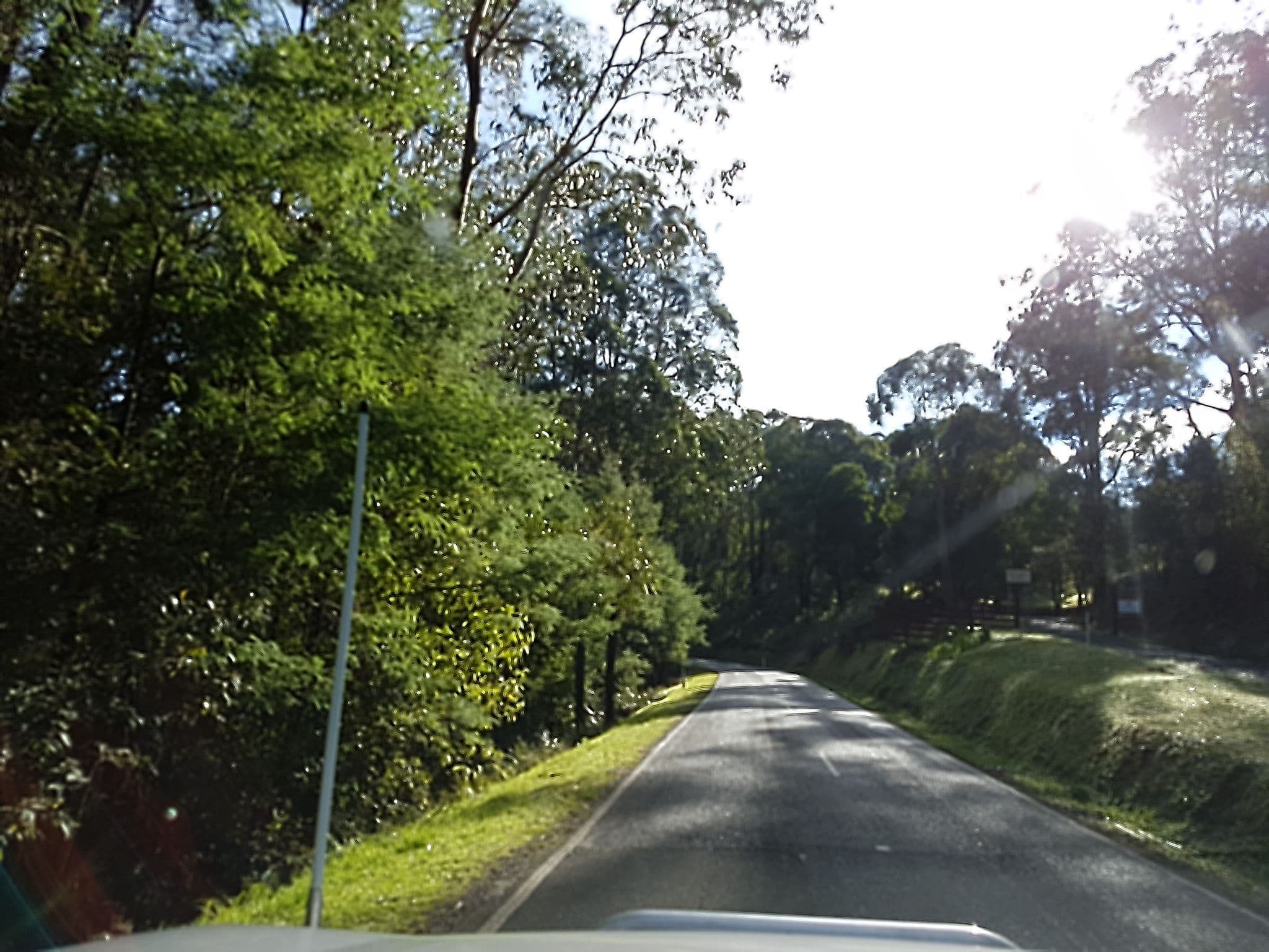 Street view near Maitripa Centre, Healesville — © stev391 (CC BY-SA · Mapillary)