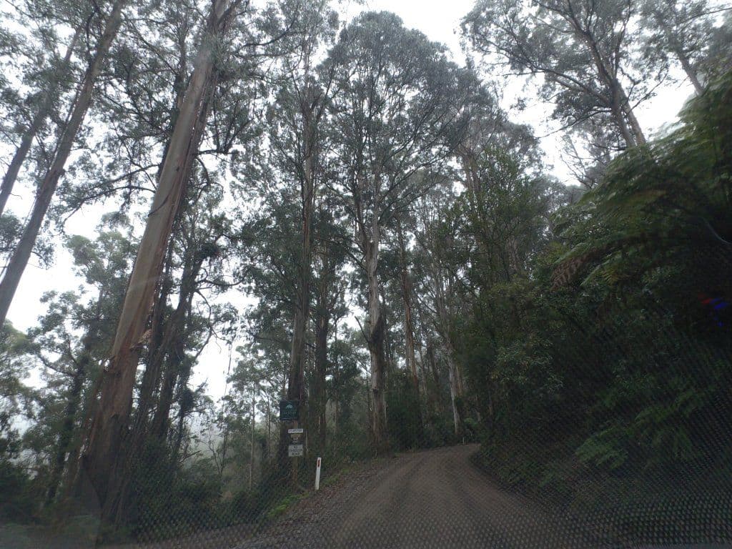 Street view near Yama Ki, Wesburn — © mander (CC BY-SA · Mapillary)