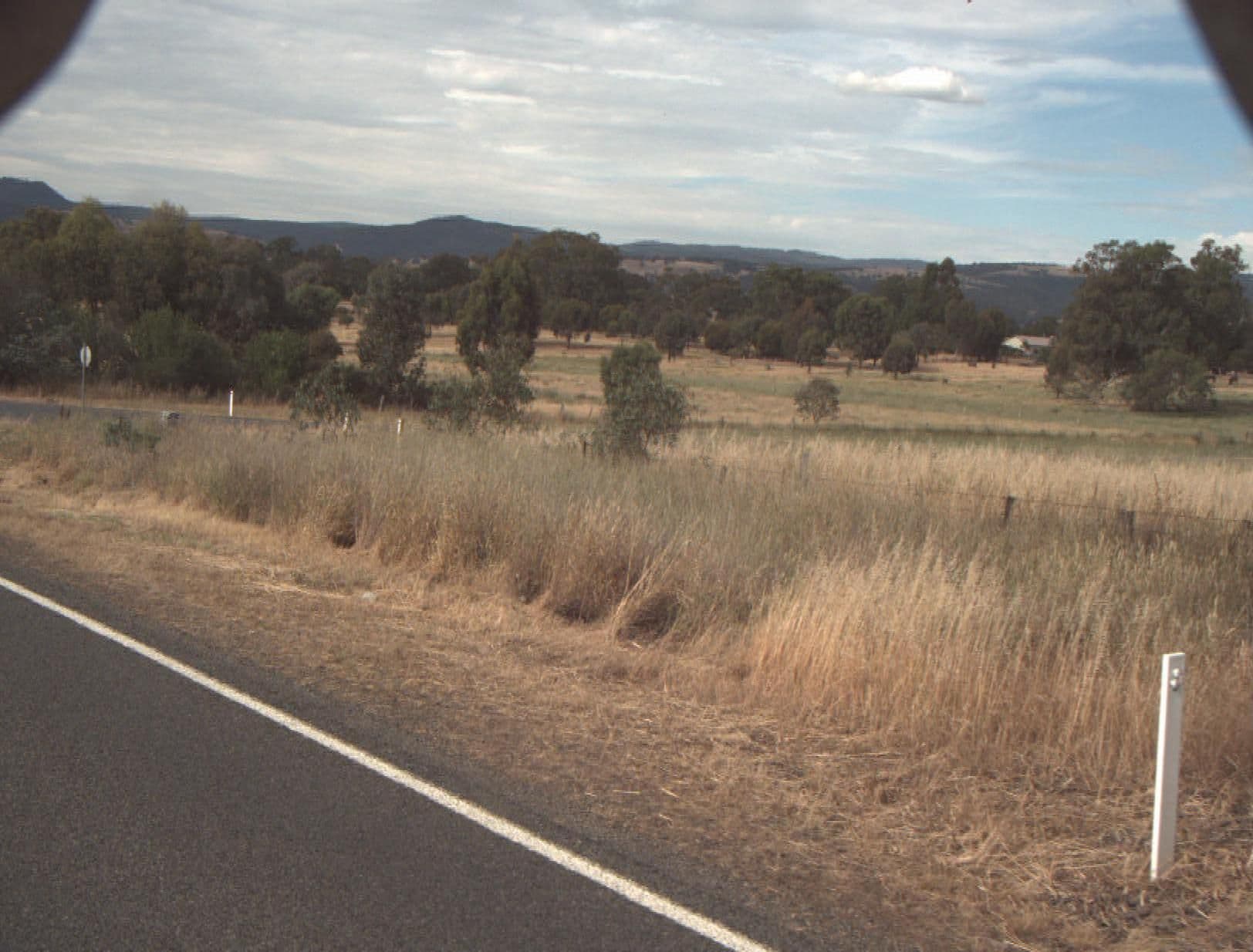 Street view near Wombat Hills, Mount Buller — © vicroads (CC BY-SA · Mapillary)