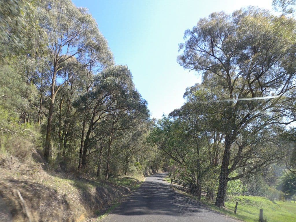 Street view near Toorongo River Sanctuary, Neerim South — © mander (CC BY-SA · Mapillary)