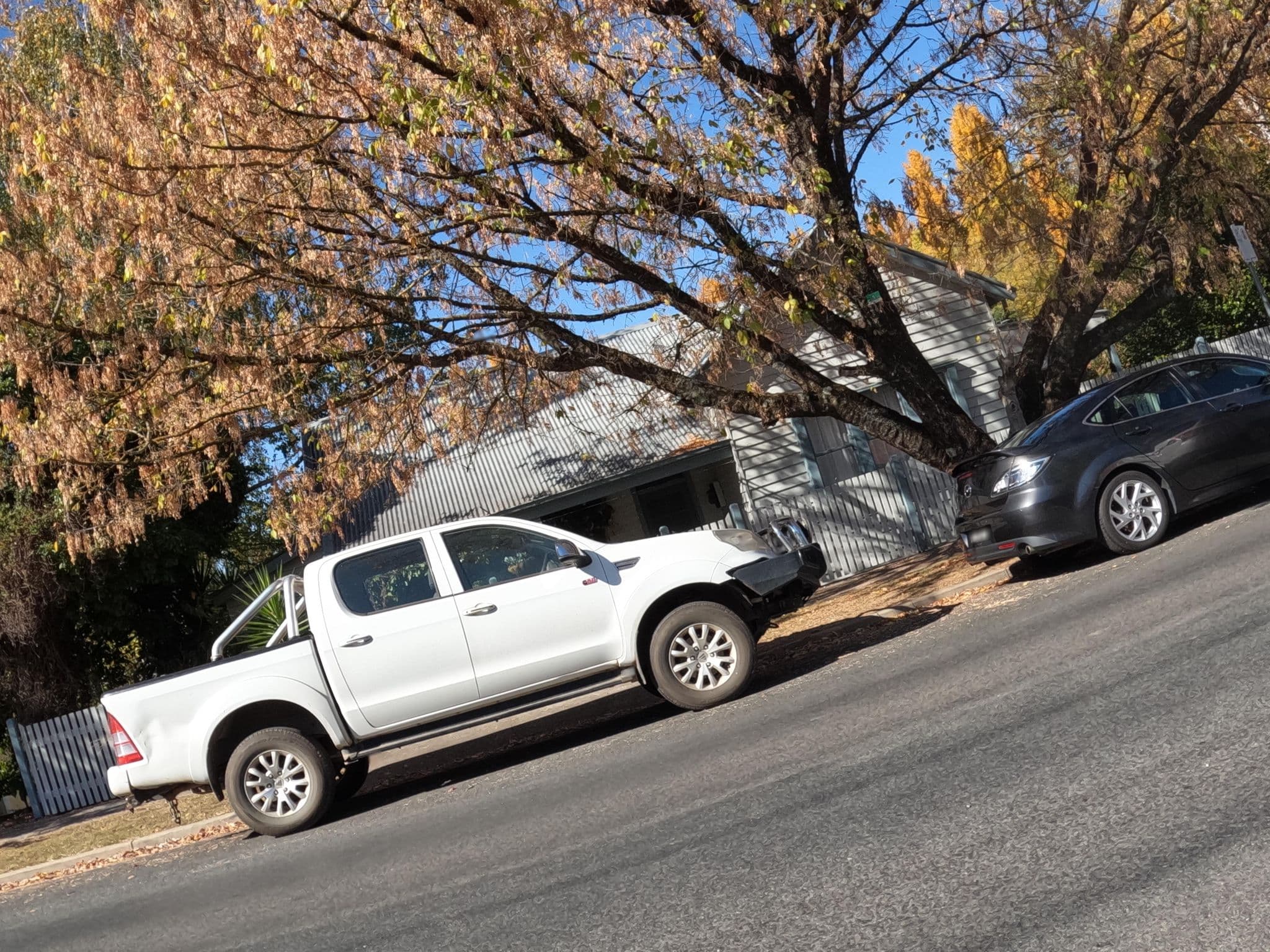 Street view near Beeches on High, Beechworth — © skillsy (CC BY-SA · Mapillary)