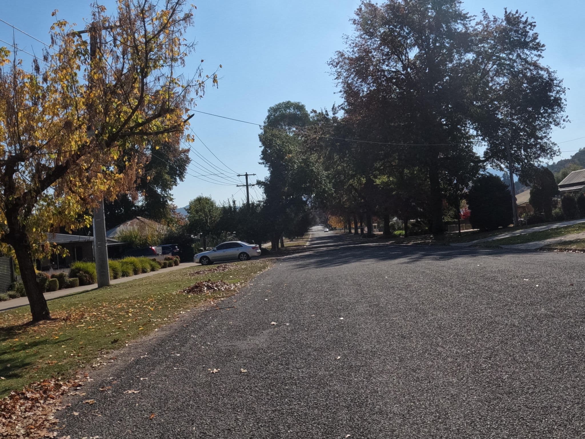 Street view near Myrtleford Holiday Park, Myrtleford — © skillsy (CC BY-SA · Mapillary)
