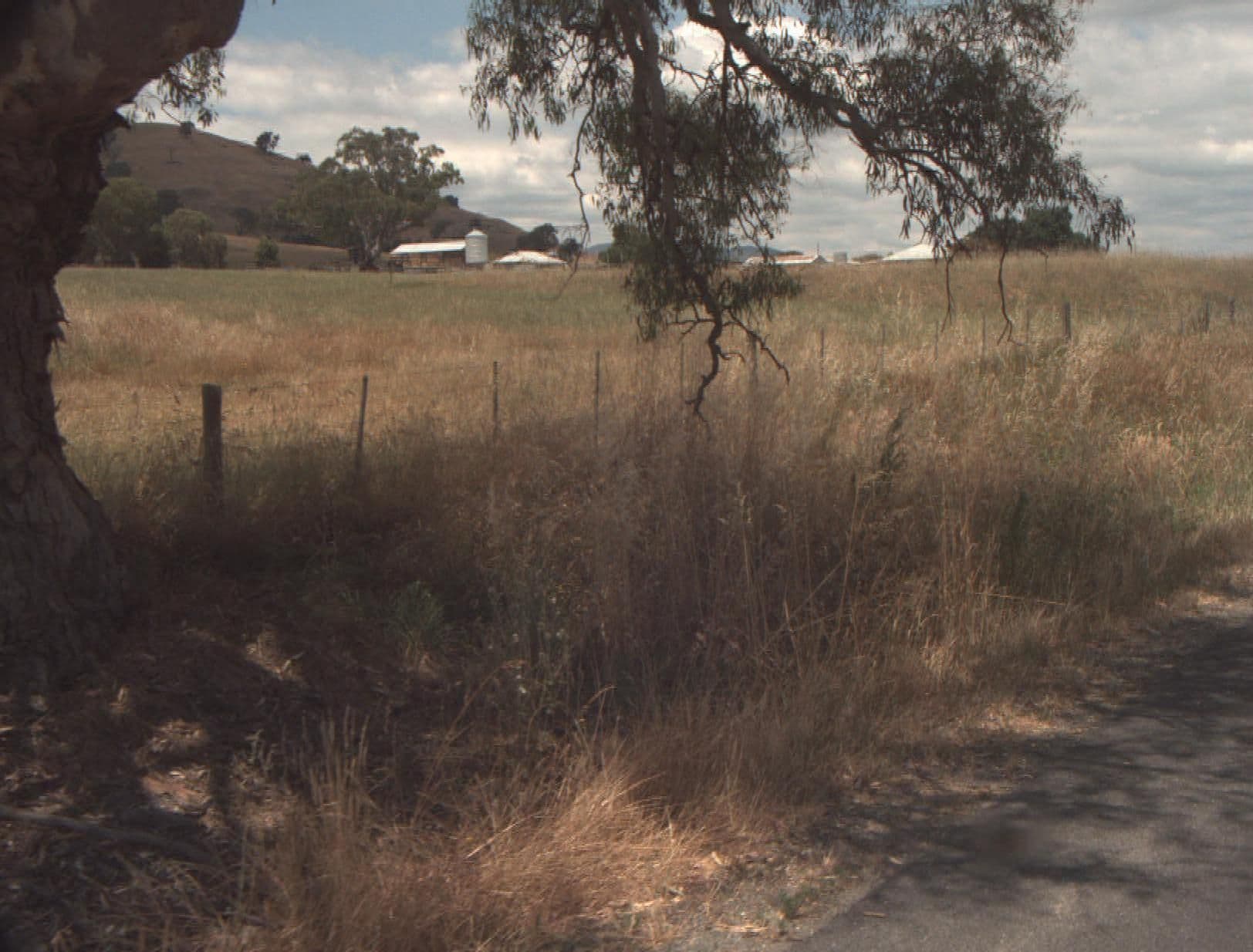 Street view near Binderee Grove B&B, Tallangatta — © vicroads (CC BY-SA · Mapillary)