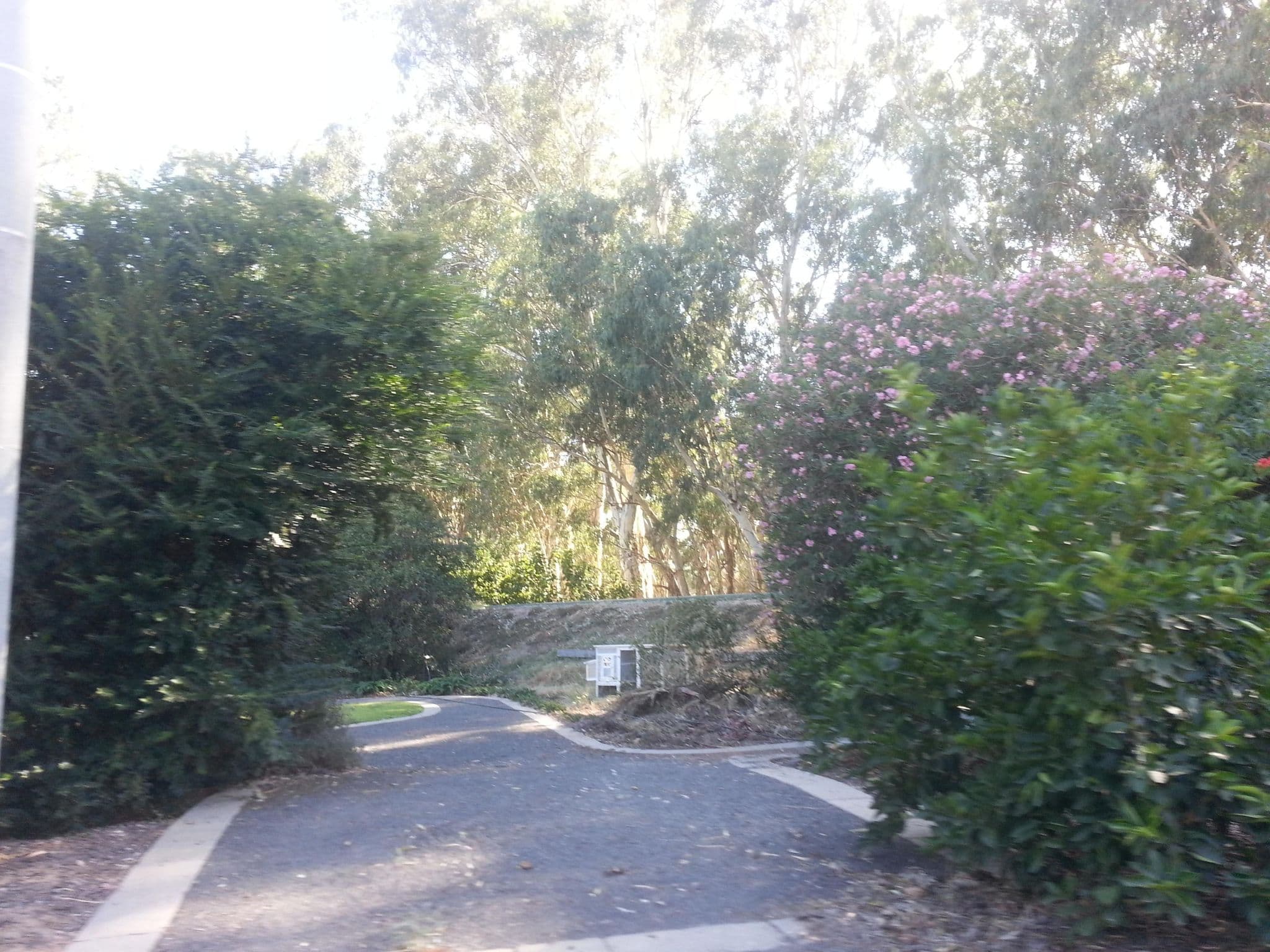 Street view near Tulluc Cottage, Darlington Point — © bob3bob3 (CC BY-SA · Mapillary)