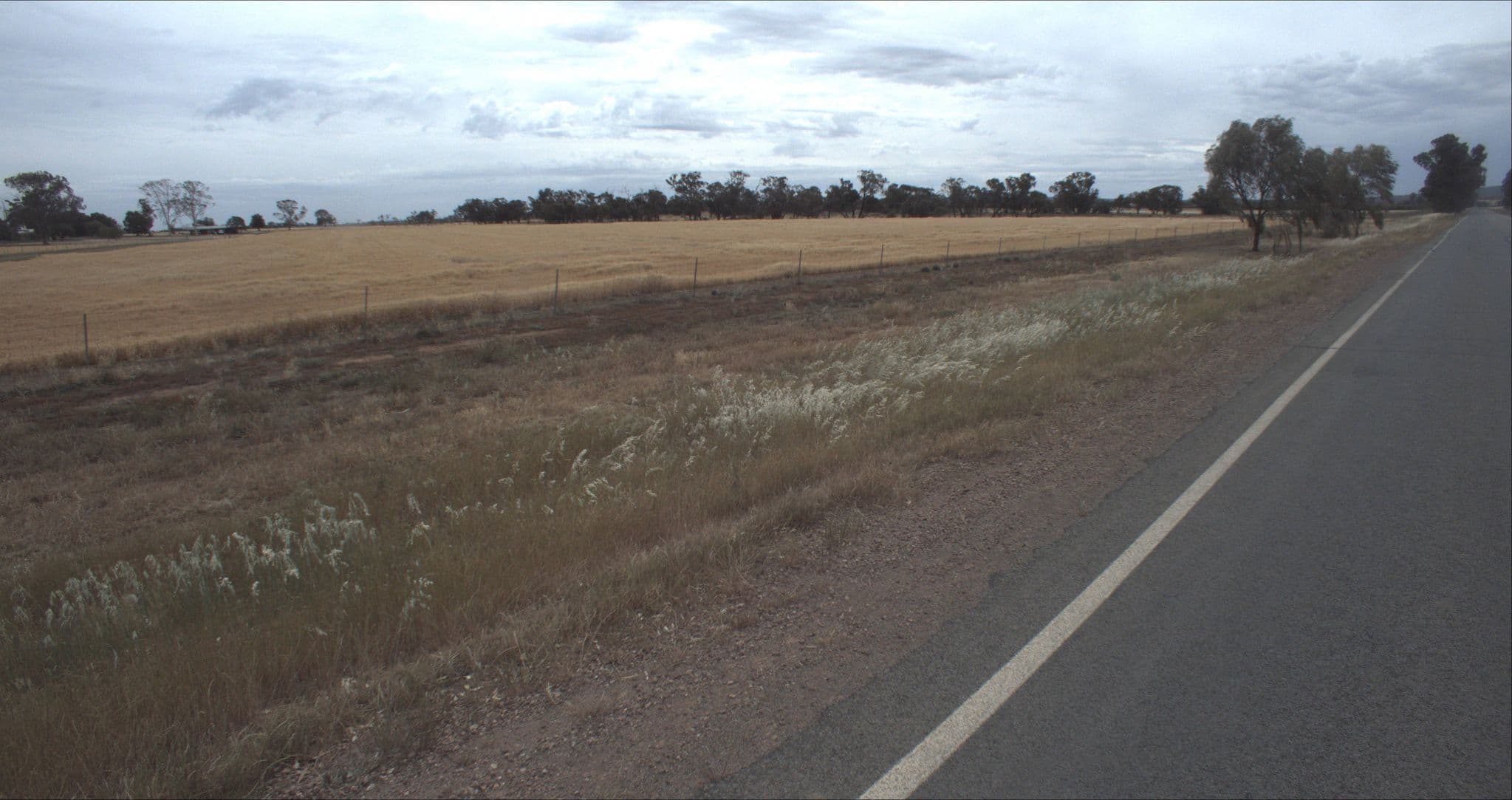 Street view near Willow Bend Cottage B&B, Leeton — © giuliaz (CC BY-SA · Mapillary)