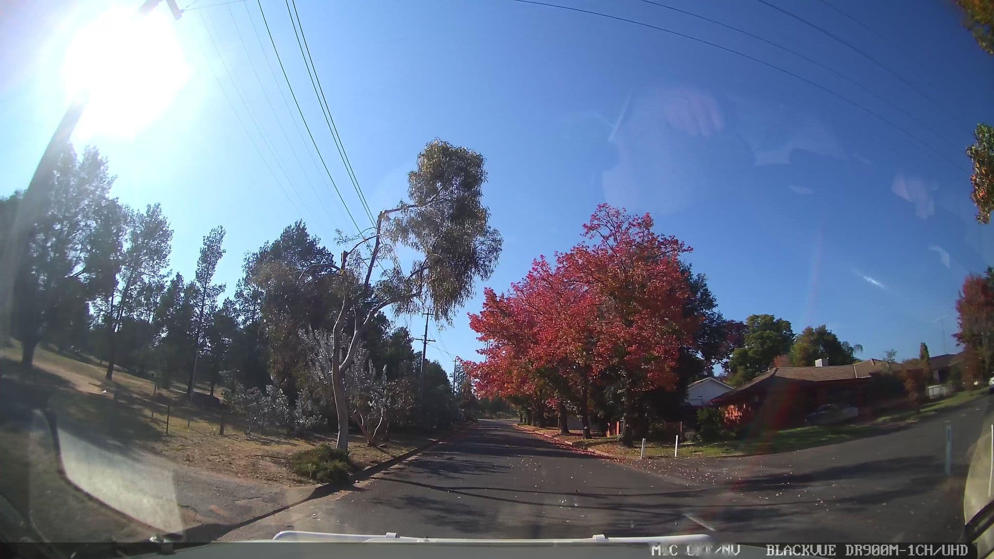 Street view near Lake Talbot Tourist Park, Narrandera — © jthnz (CC BY-SA · Mapillary)
