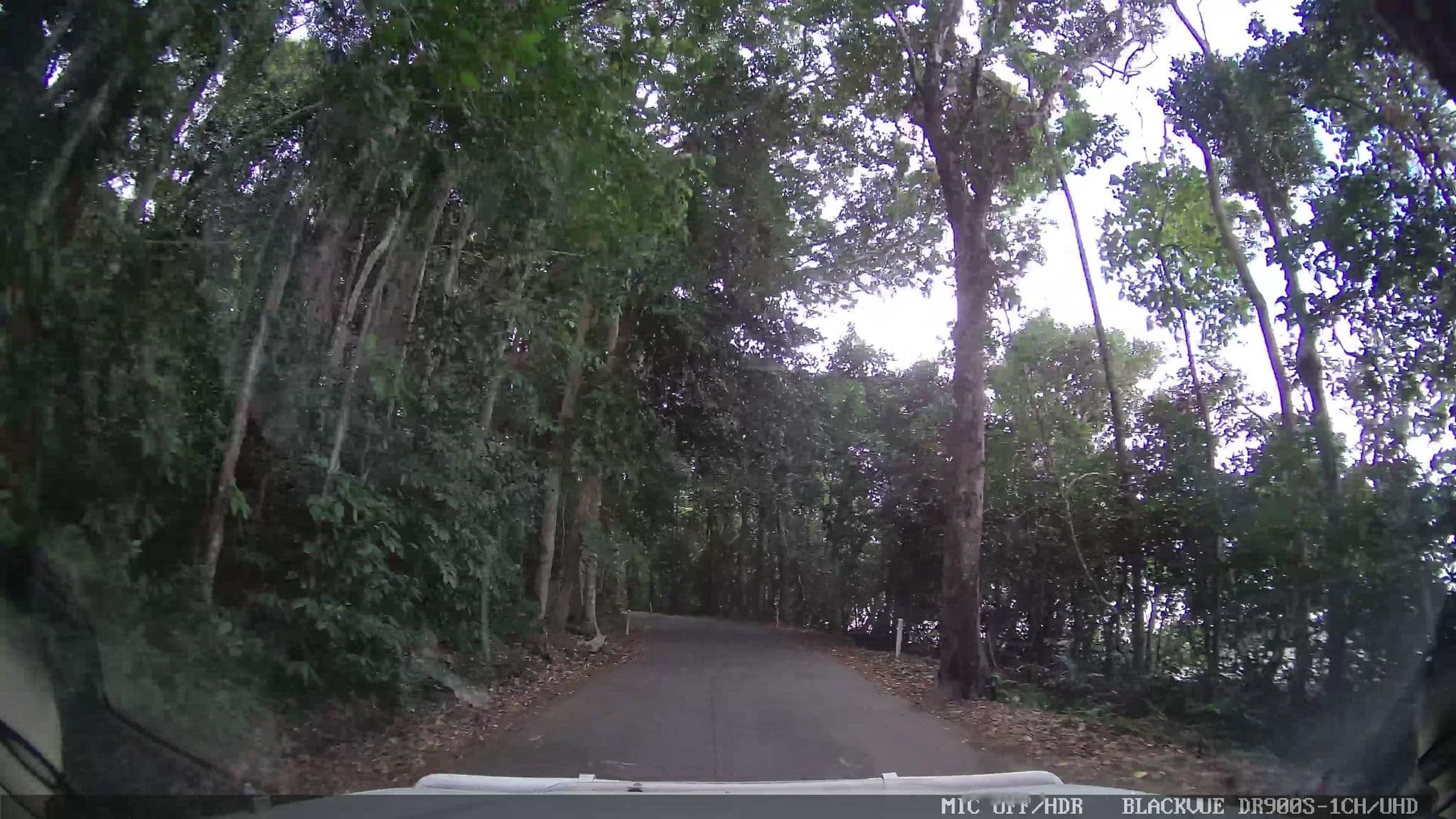 Street view near Daintree Wilderness Lodge, Mossman — © jthnz (CC BY-SA · Mapillary)