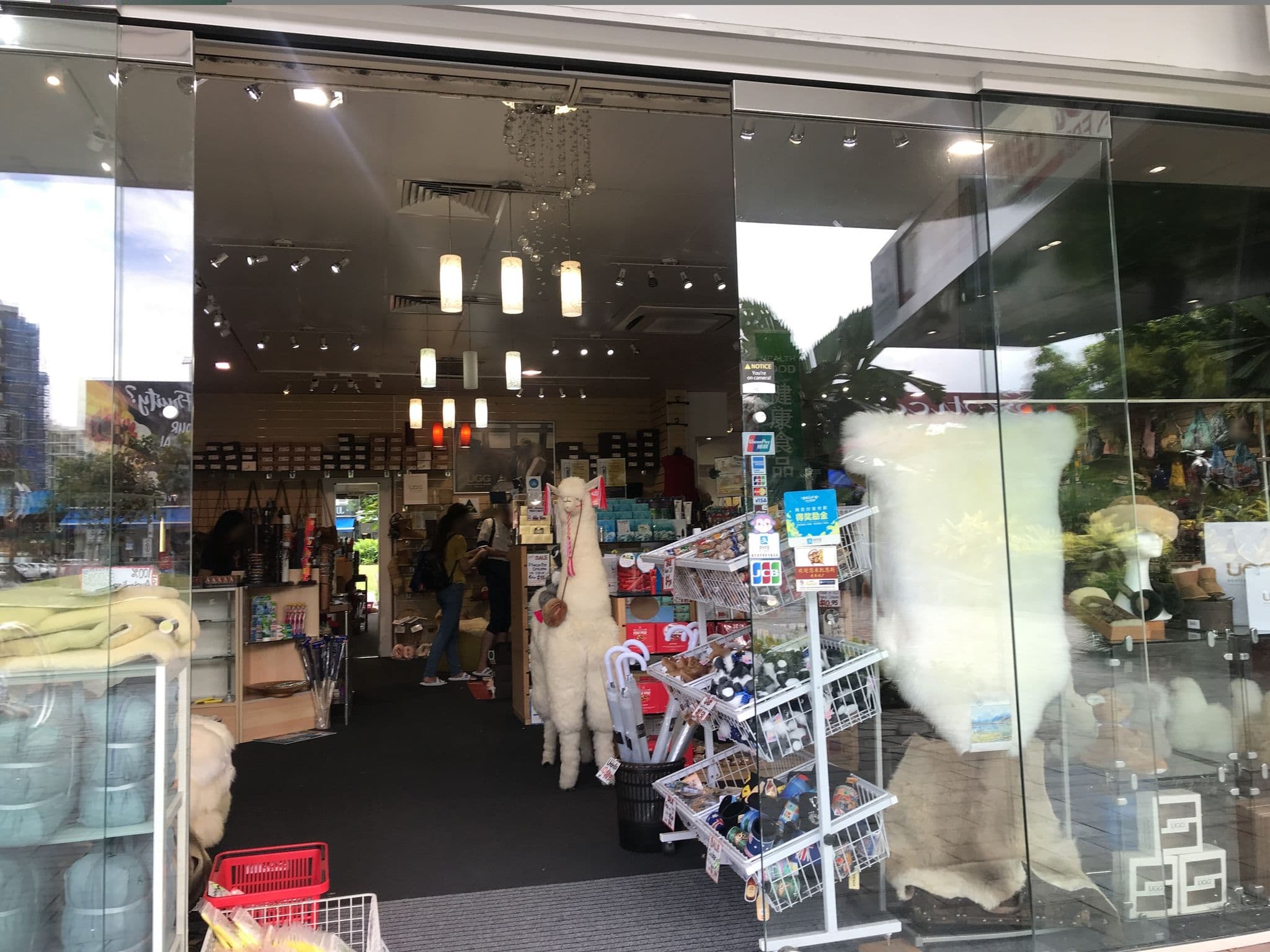Street view near Freedom Hostel, Cairns City — © shikayose (CC BY-SA · Mapillary)