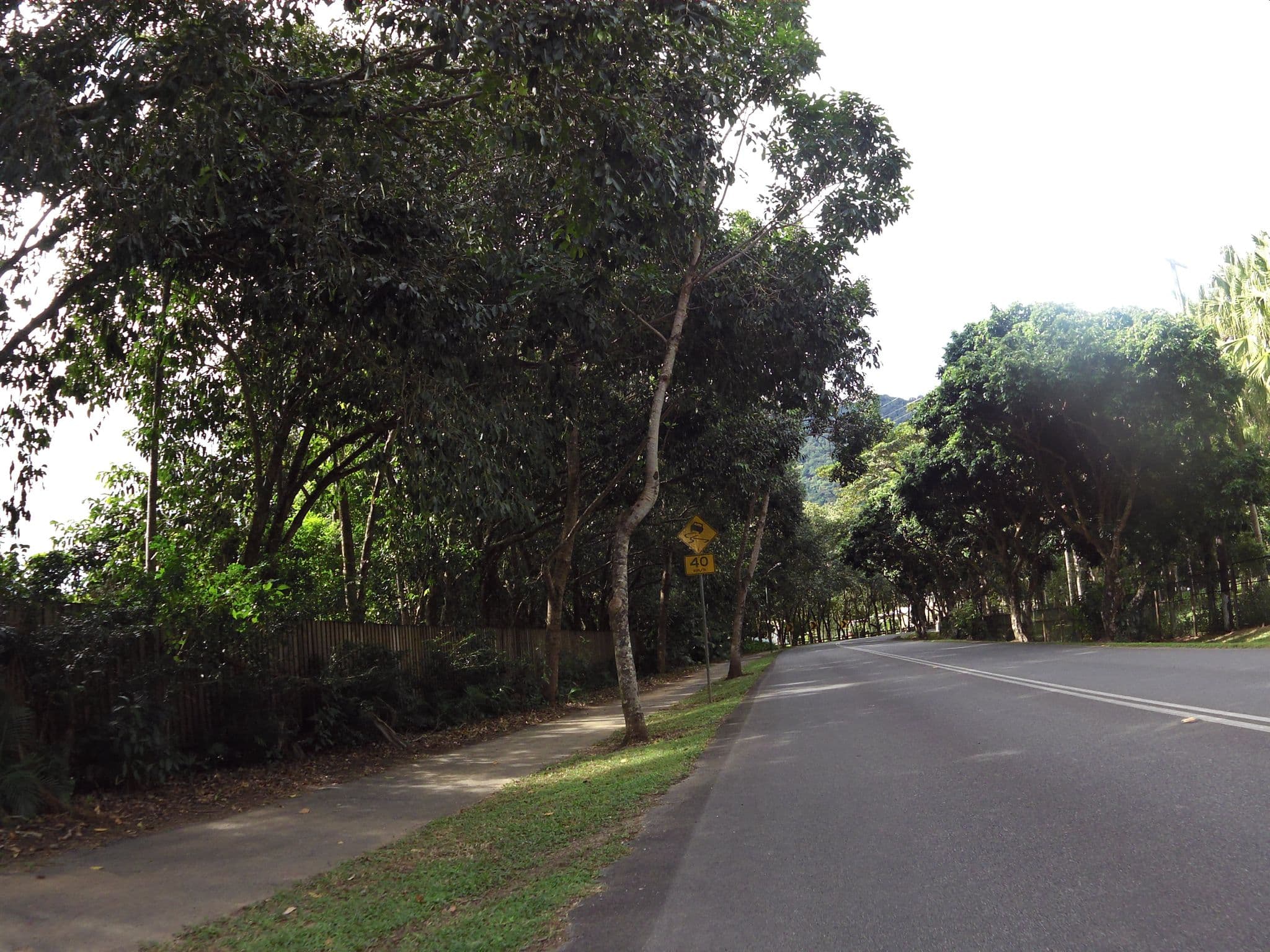 Street view near Zanzoo Retreat, Redlynch — © skillsy (CC BY-SA · Mapillary)