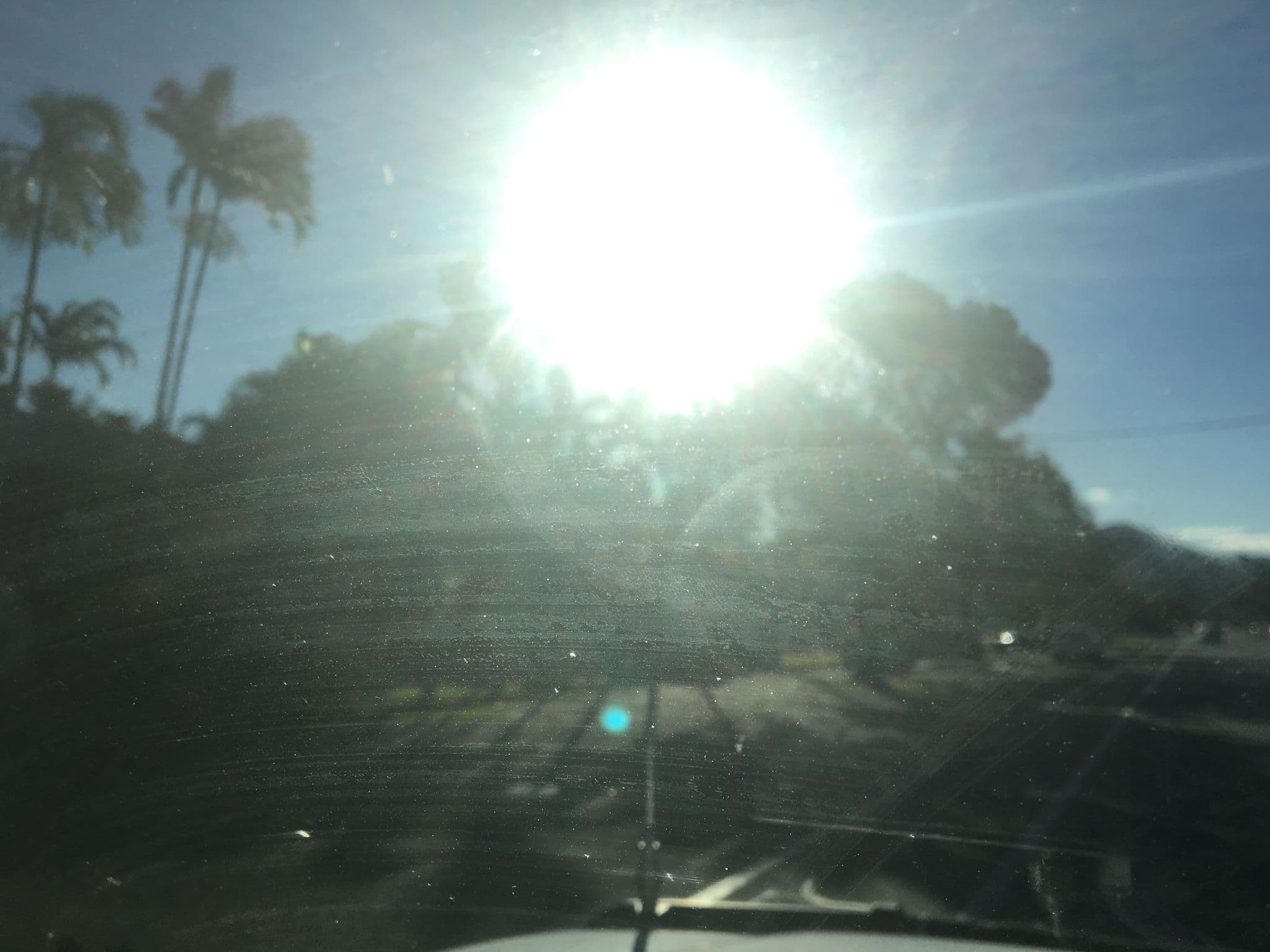 Street view near Tradewinds McLeod Holiday Apartments, Cairns North — © orbac (CC BY-SA · Mapillary)