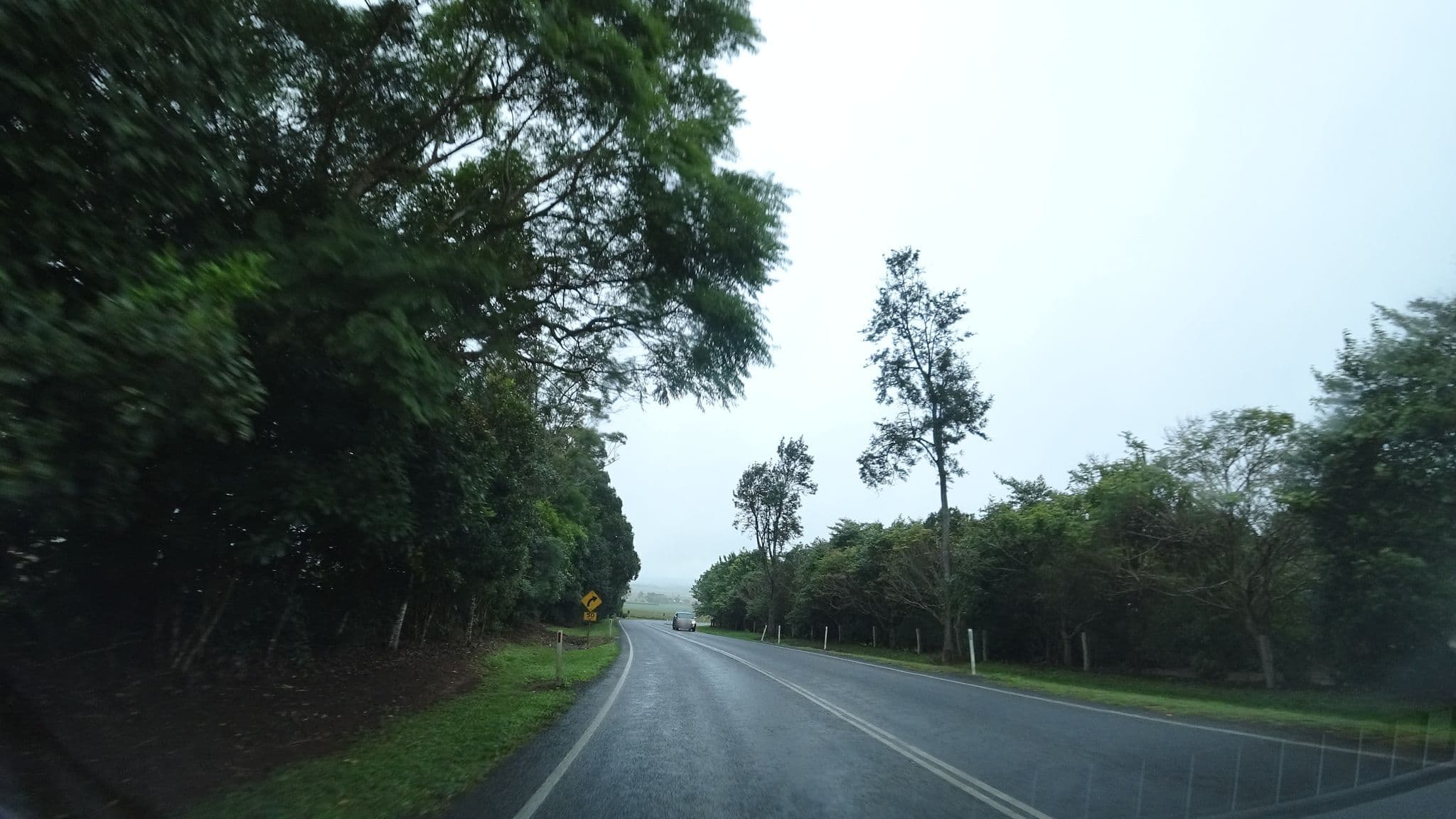 Street view near Atherton Rainforest Motor Inn, Atherton — © vagrant42 (CC BY-SA · Mapillary)