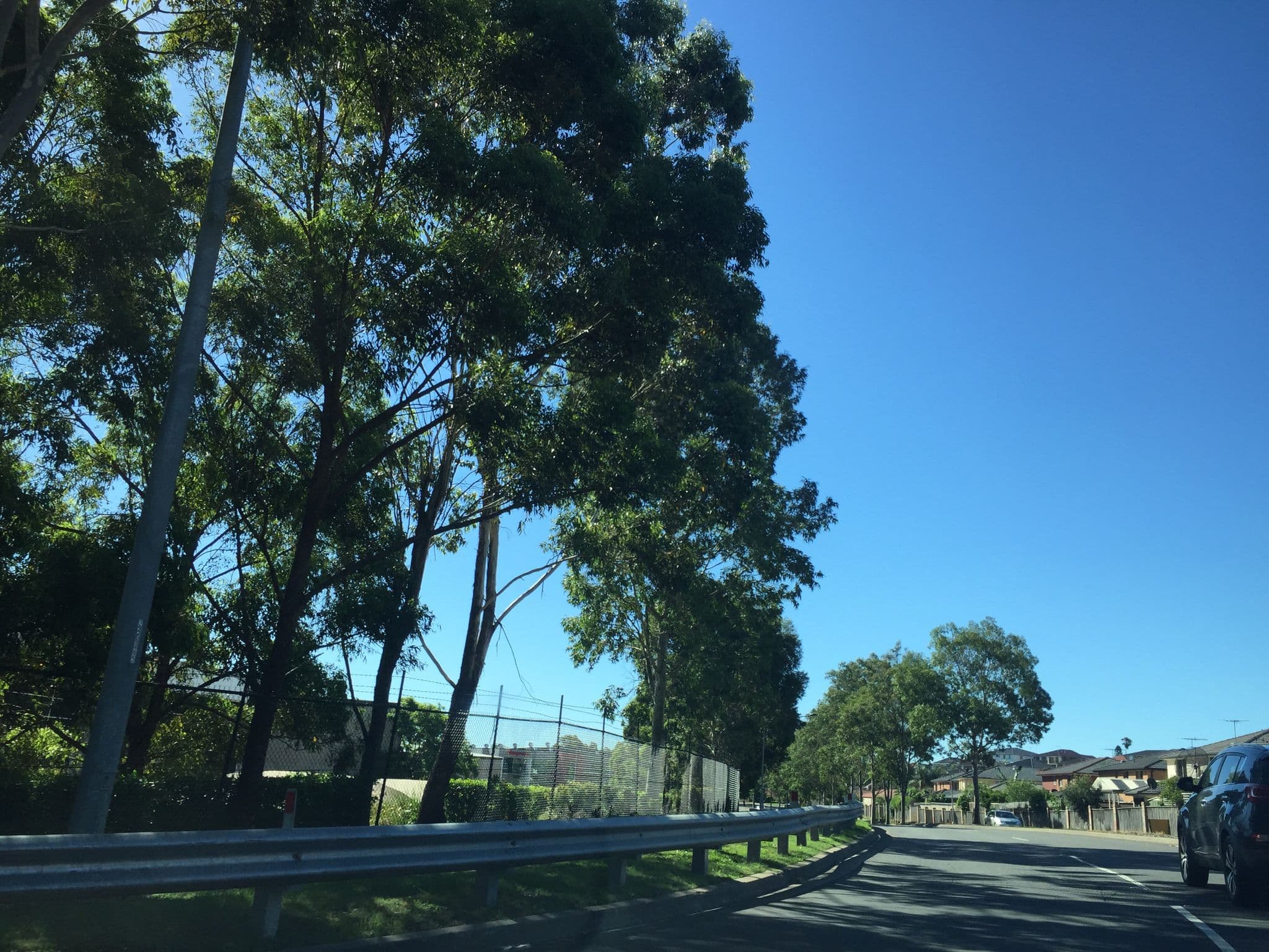 Street view near Travelodge, Bungarribee — © riblit (CC BY-SA · Mapillary)
