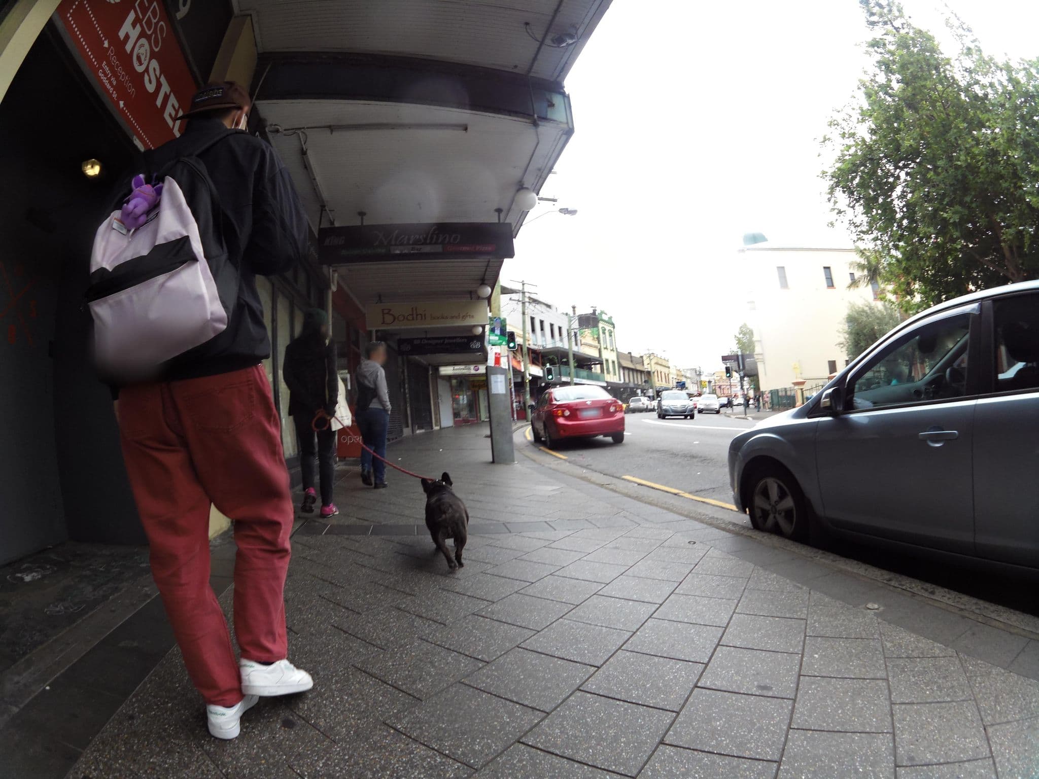 Street view near EBS Sydney Hostel, Newtown — © skillsy (CC BY-SA · Mapillary)