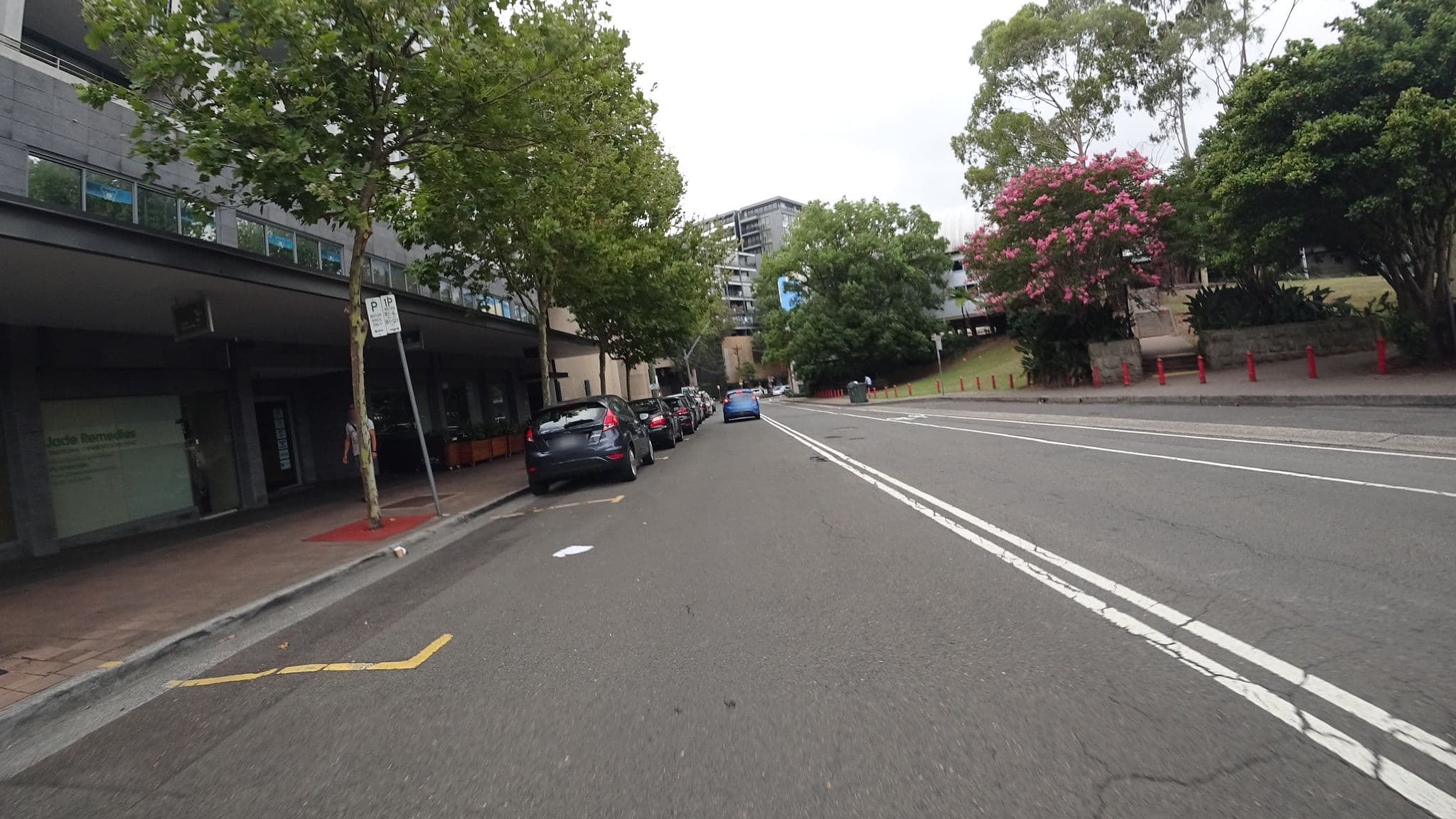 Street view near Wyndel Apartments - Clarke Street, St Leonards — © aharvey (CC BY-SA · Mapillary)