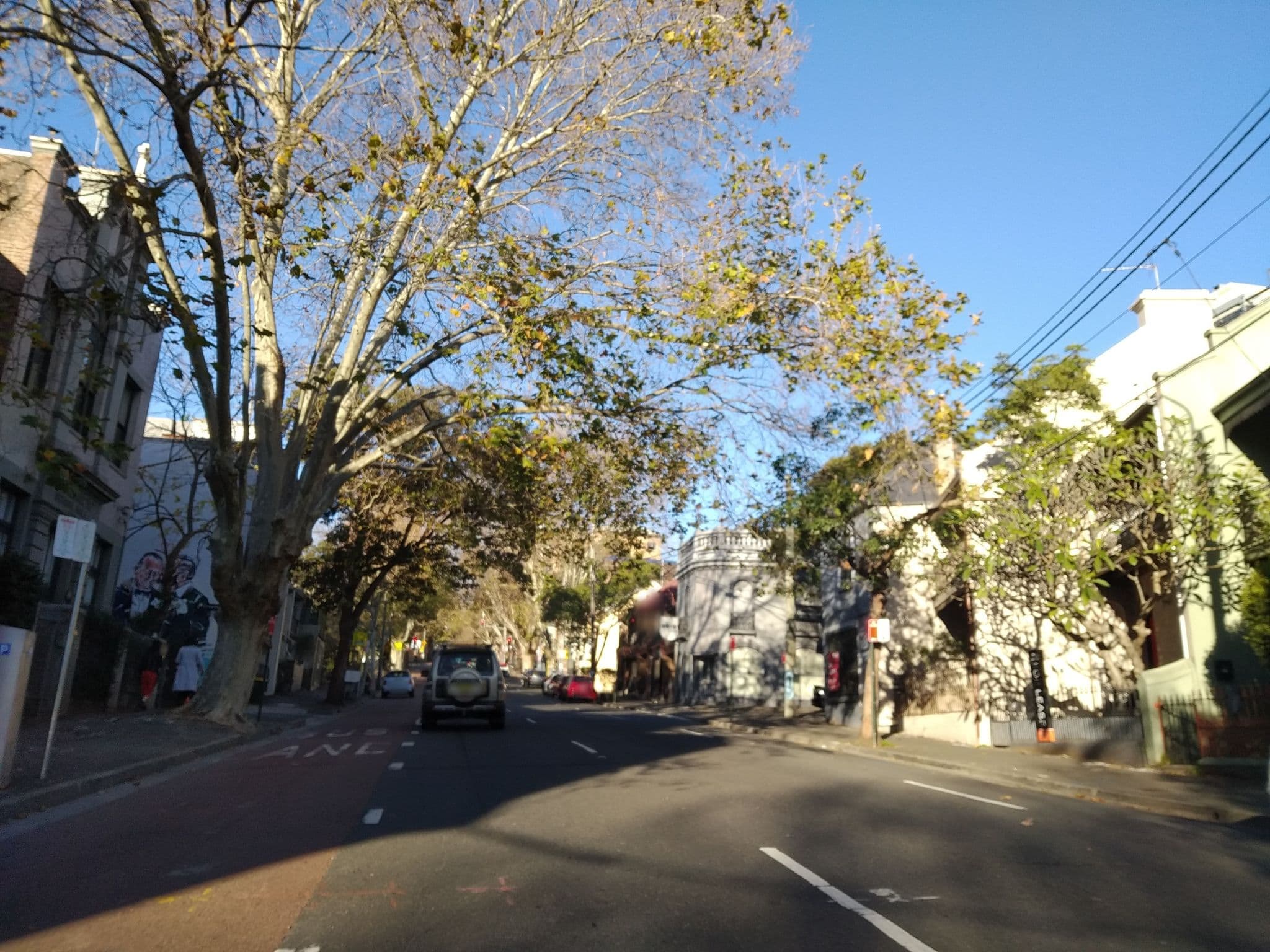 Street view near The Little Albion Guest House, Surry Hills — © ortho_is_hot (CC BY-SA · Mapillary)