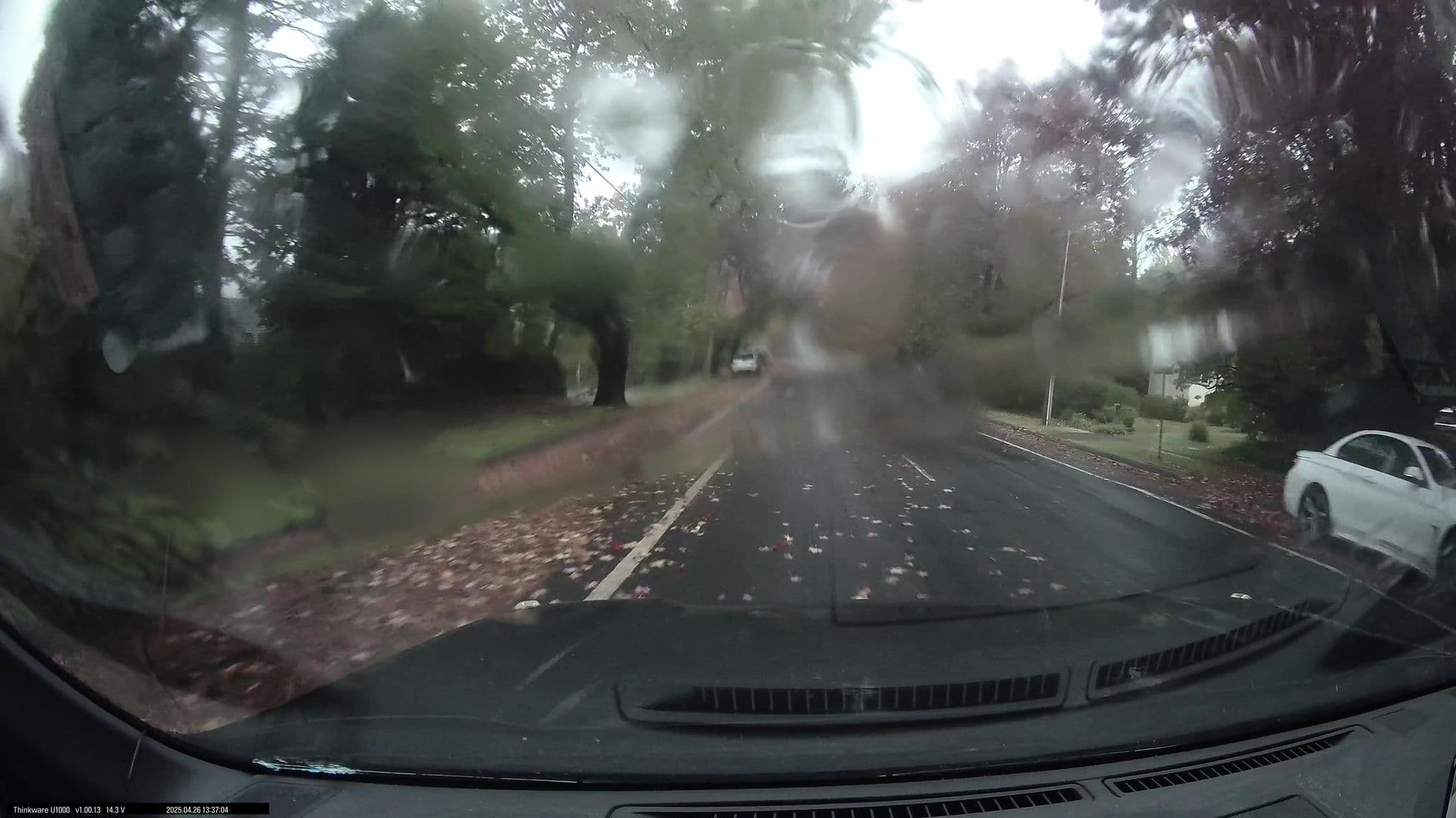Street view near Blackheath Holiday Cottages, Blackheath — © maxim752 (CC BY-SA · Mapillary)