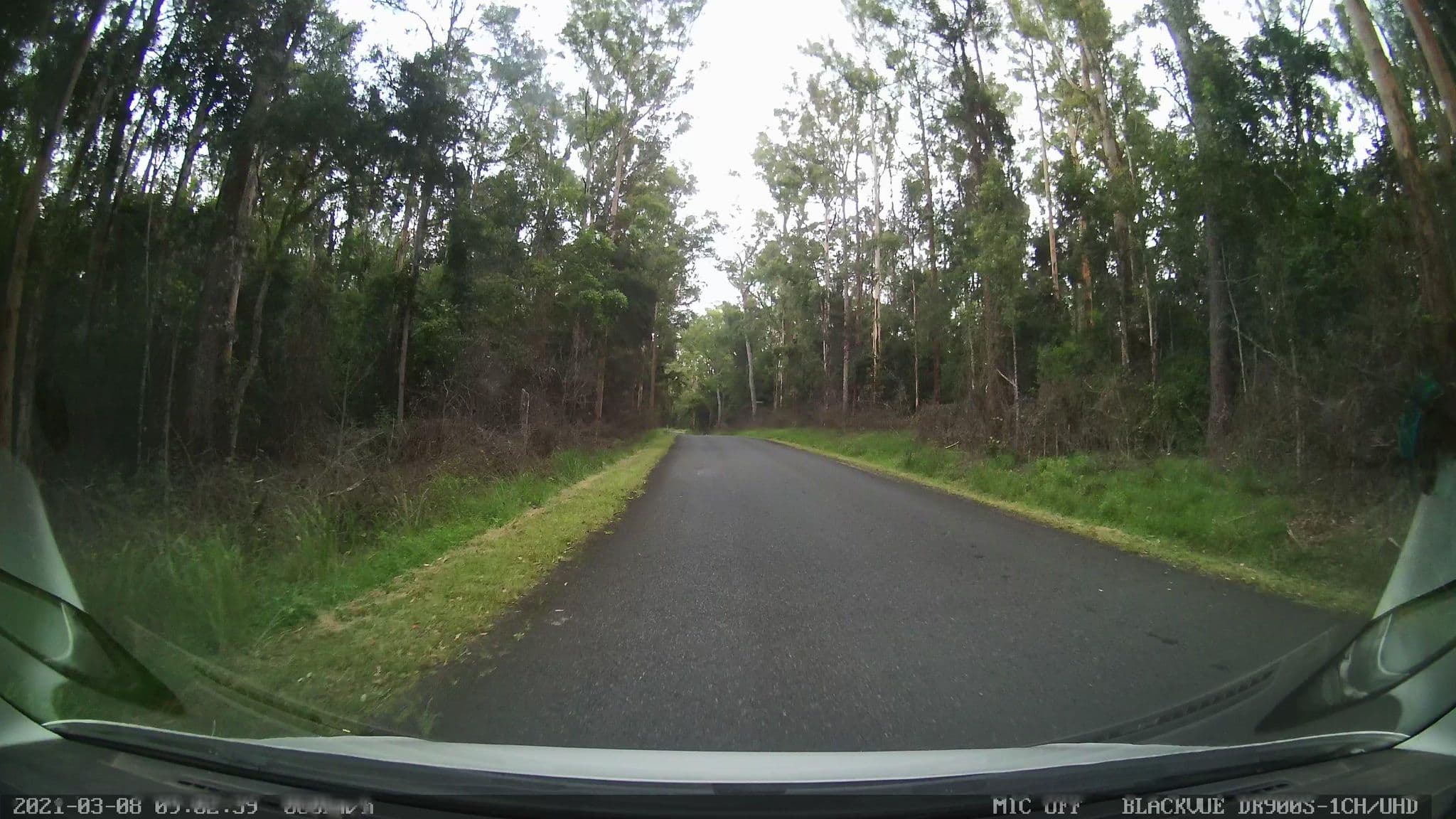 Street view near Abbey Boutique Hotel, Figtree — © bob3bob3 (CC BY-SA · Mapillary)