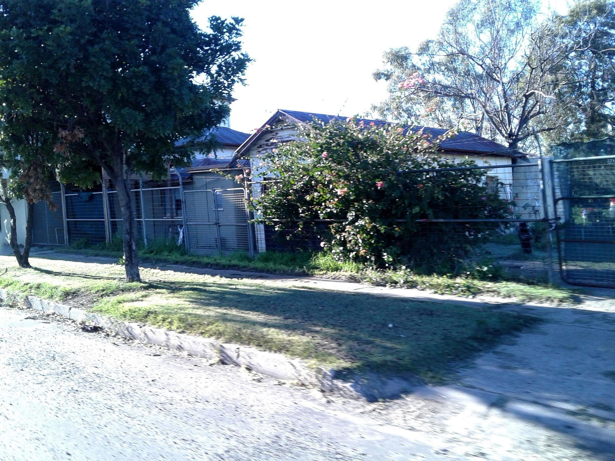 Street view near Wobbly Boot Hotel, Goondiwindi — © bob3bob3 (CC BY-SA · Mapillary)