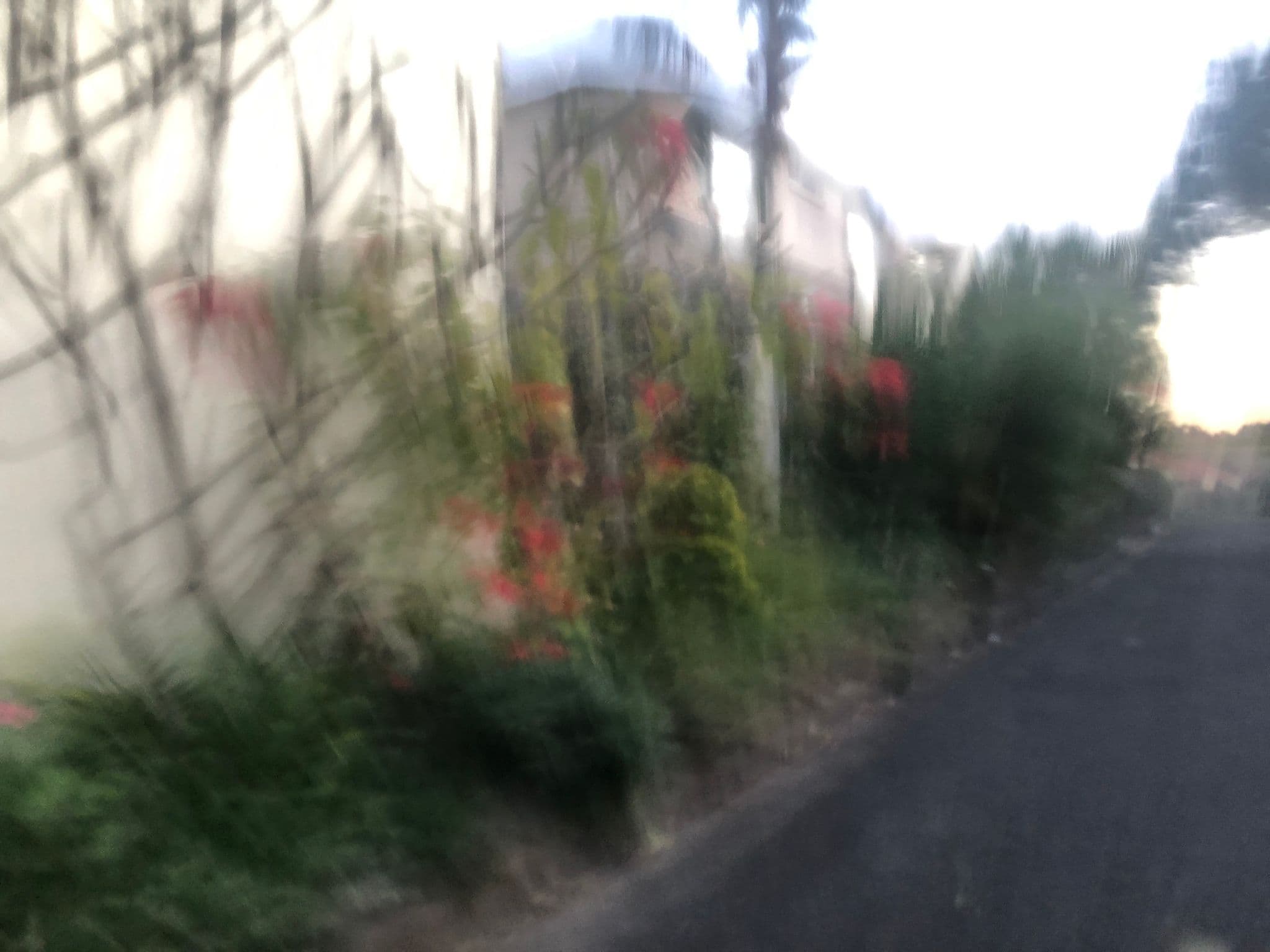 Street view near Bo'sunns Inn Motel, Coffs Harbour — © nicholsp (CC BY-SA · Mapillary)