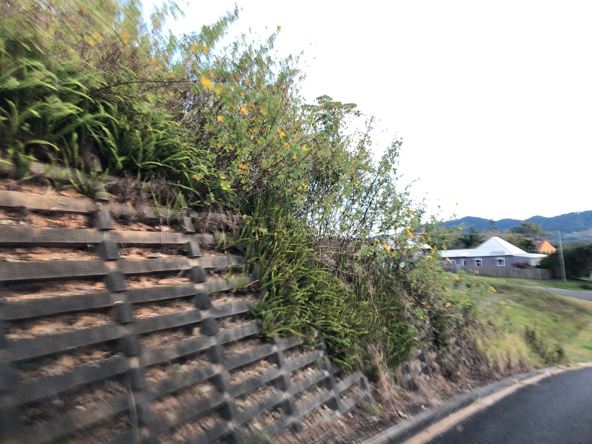 Street view near Nautilus Beachfront Villas & Spa, Coffs Harbour — © nicholsp (CC BY-SA · Mapillary)