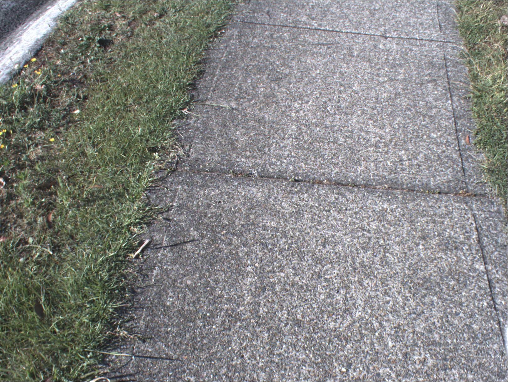 Street view near Accommodation Alternatives, Yatala — © roadassets (CC BY-SA · Mapillary)