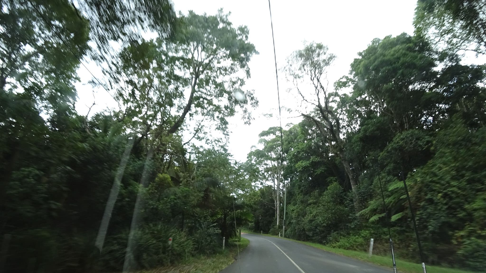 Street view near Turkeys Nest Rainforest Cottages, Highvale — © vagrant42 (CC BY-SA · Mapillary)