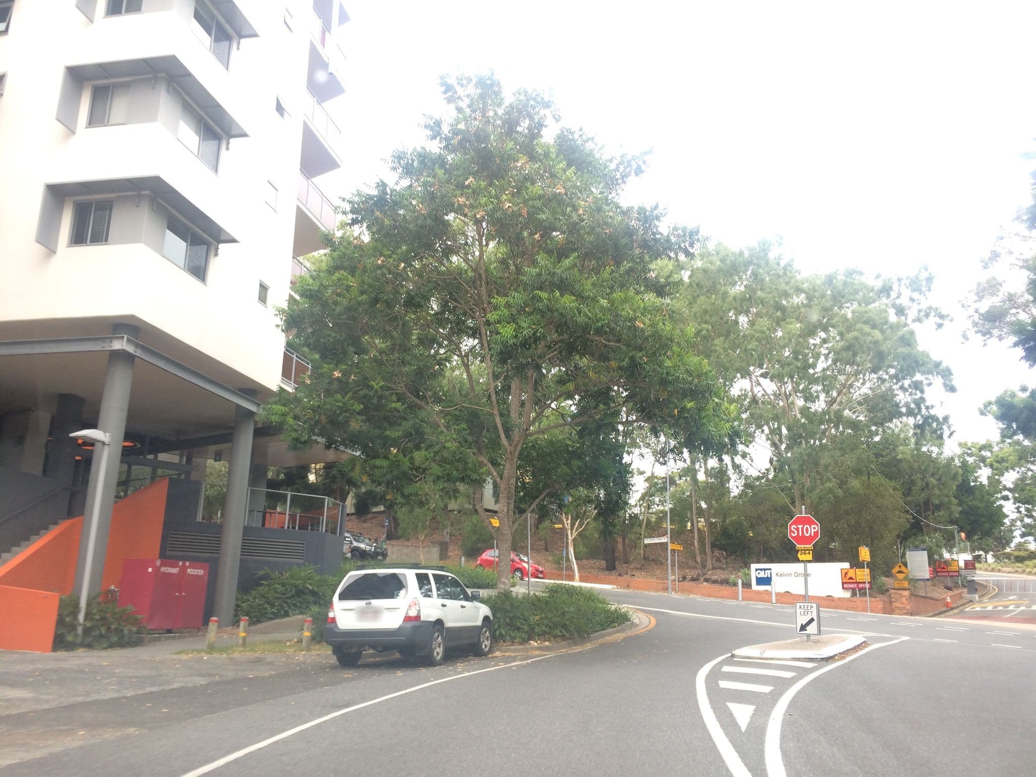 Street view near Kelvin Grove Student Village, Kelvin Grove — © hoylen (CC BY-SA · Mapillary)