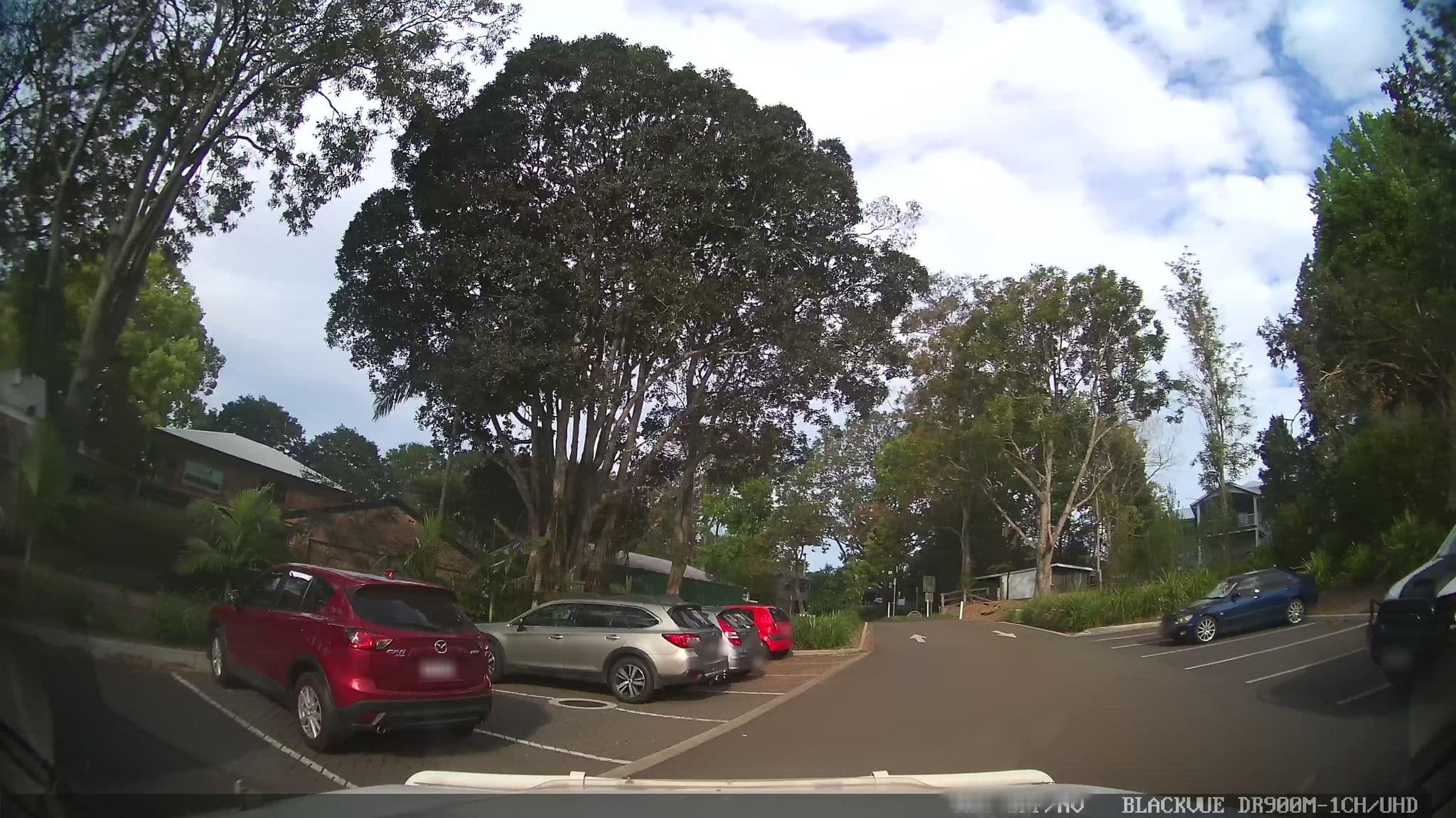 Street view near Montville Mews, Montville — © jthnz (CC BY-SA · Mapillary)