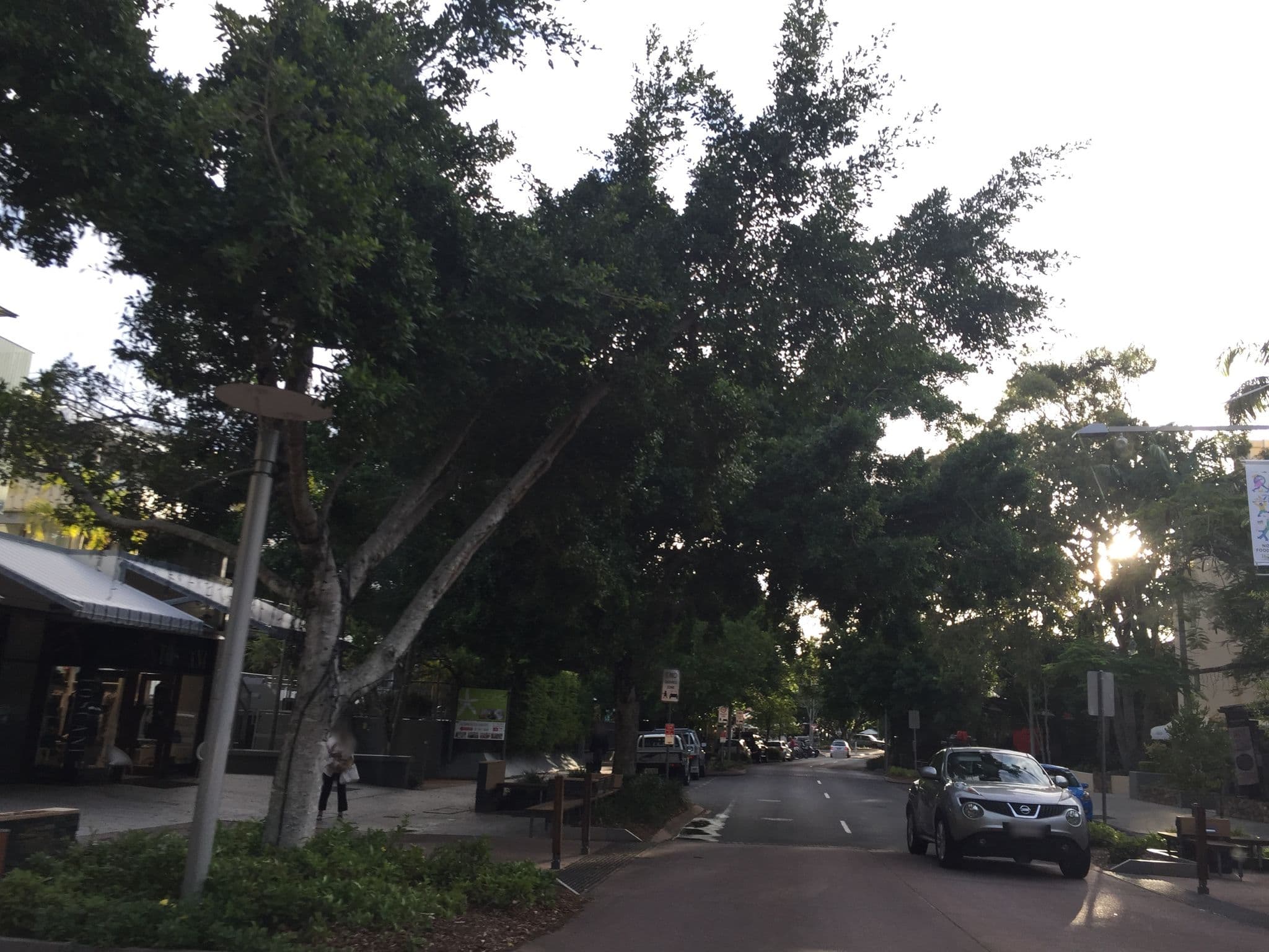Street view near French Quarter Resort, Noosa Heads — © vagrant42 (CC BY-SA · Mapillary)