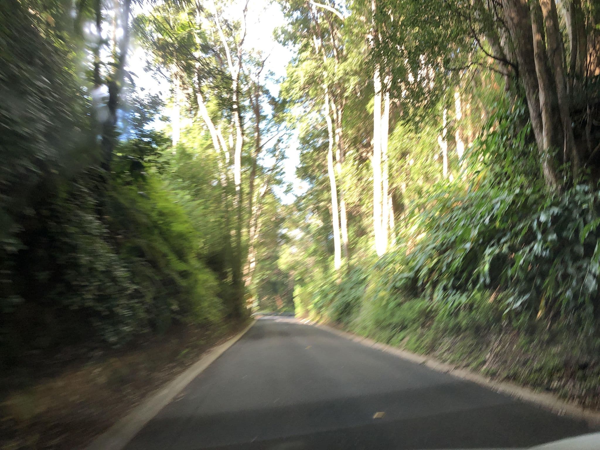 Street view near Potters Place - Treetops Montville, Montville — © Tytus (CC BY-SA · Mapillary)